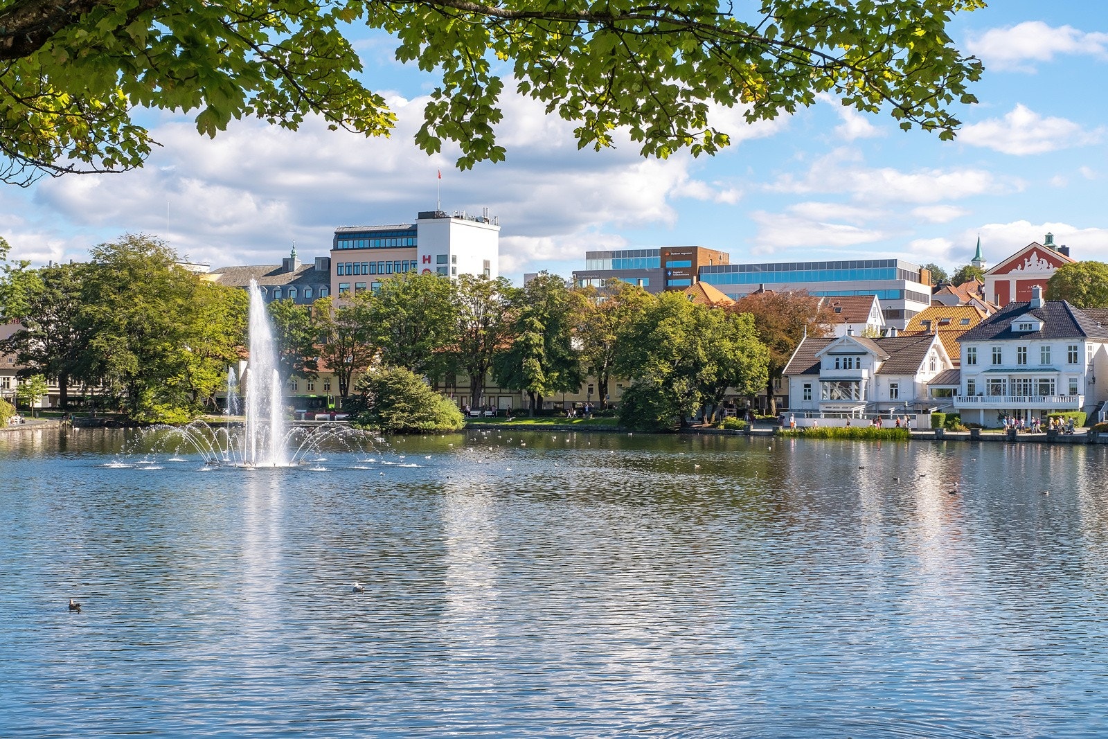 Flotte turområder rundt Breiavatnet like utenfor døren. Galleribilde