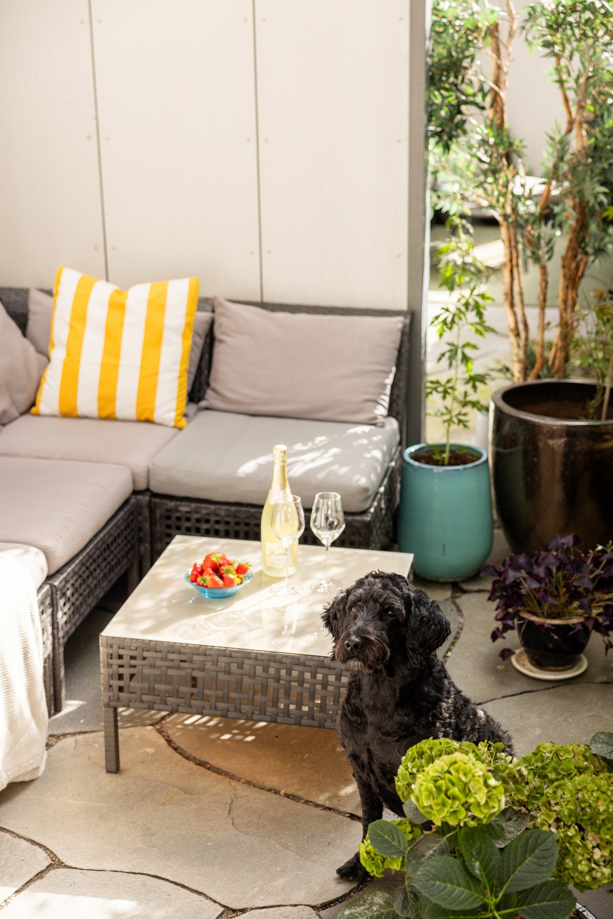 Herlig markterrasse med utgang fra stuen. Galleribilde