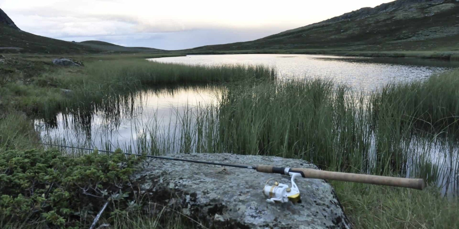 Fjellområde rundt Leveldåsen Galleribilde