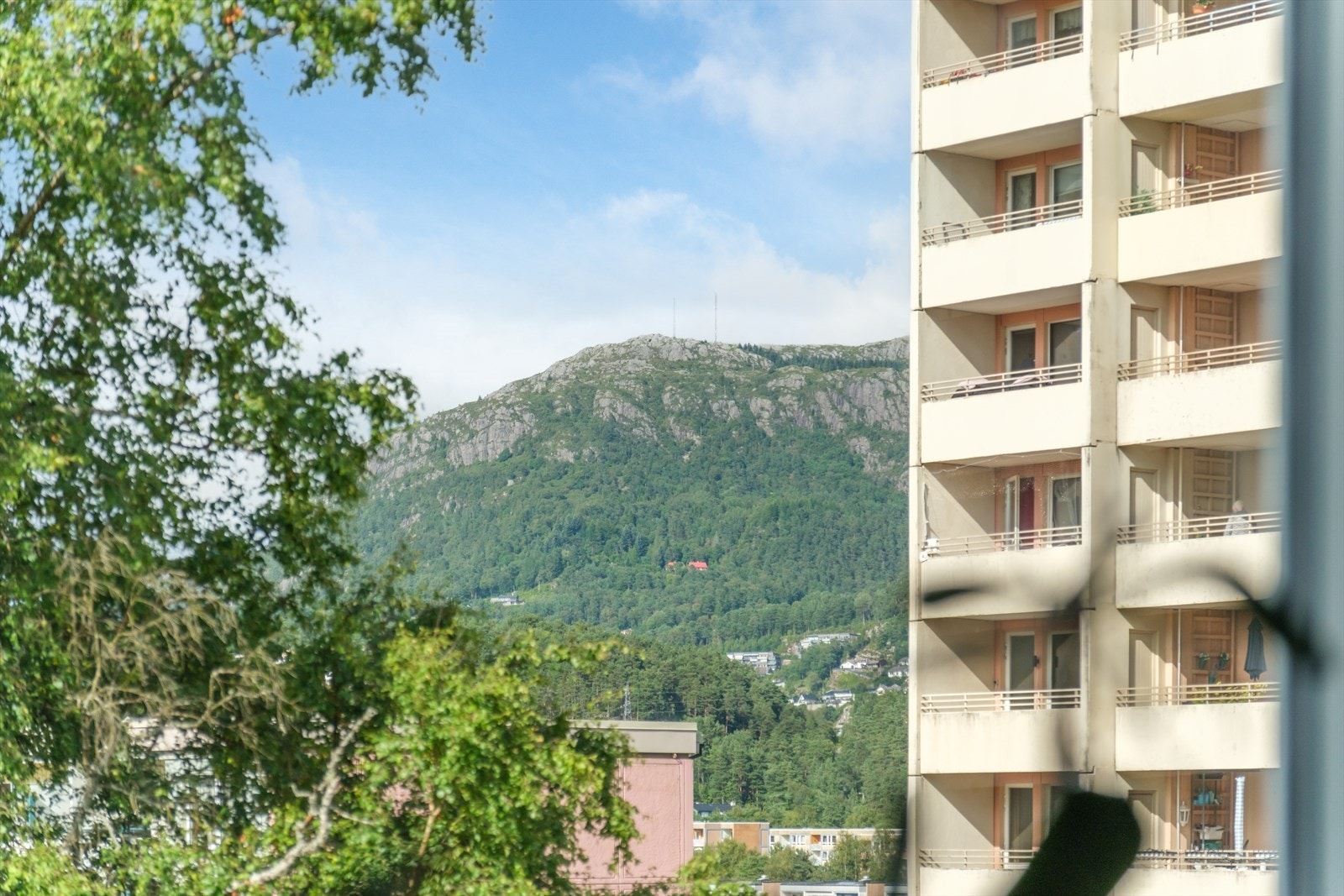 God utsikt fra leiligheten utover nærområdet. Galleribilde