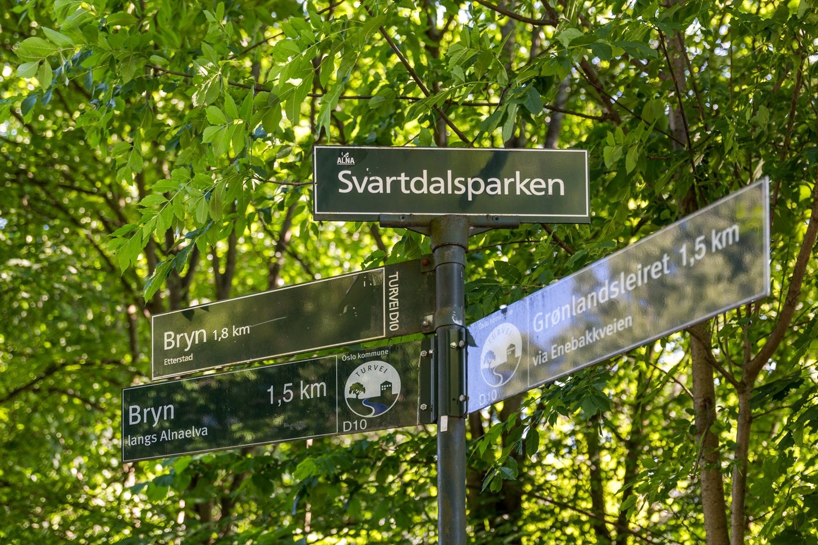 Nydelige turområder Galleribilde