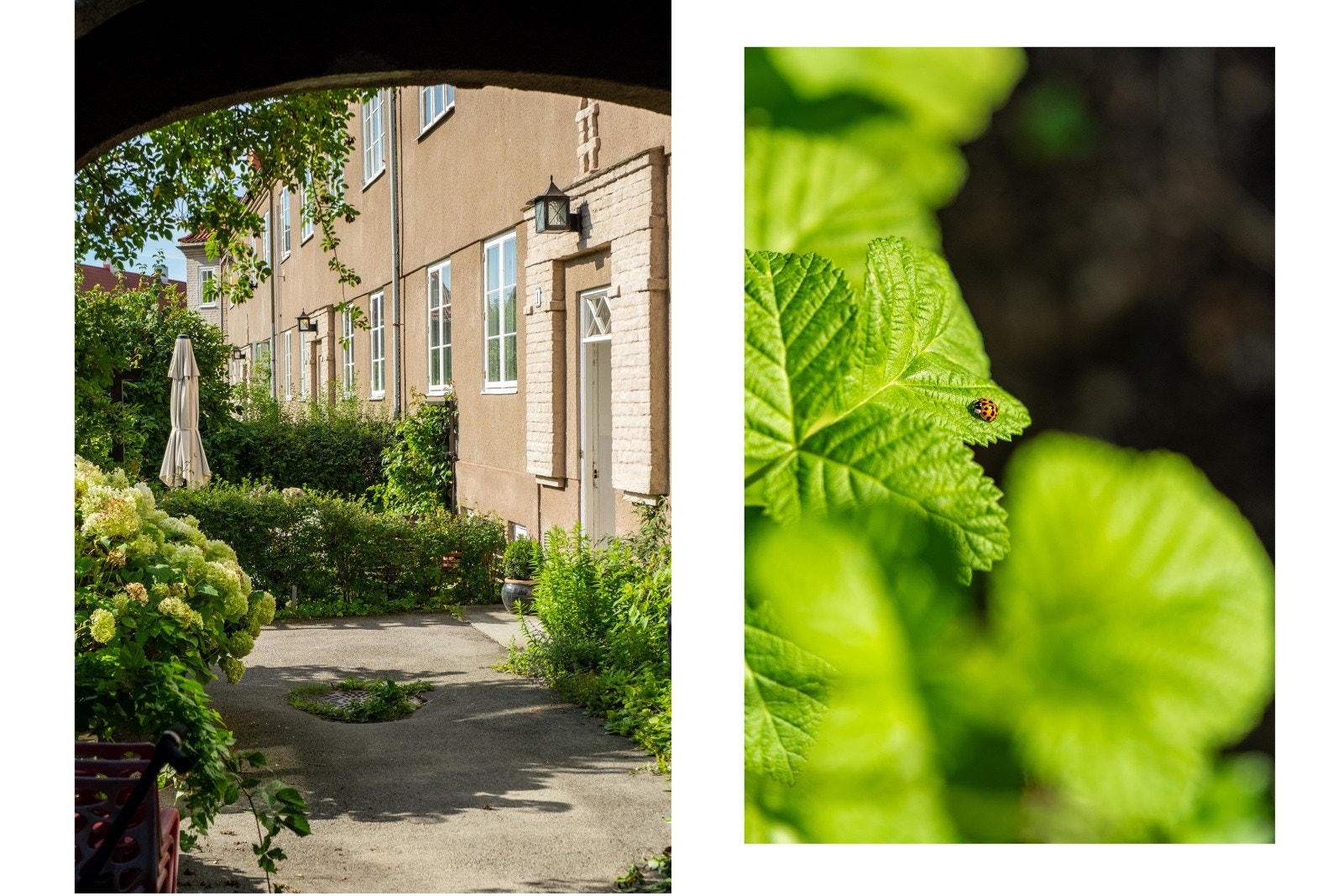 Trafikkfri adkomst. Ikke det at Marihøna tenker på det, men likevel. Galleribilde