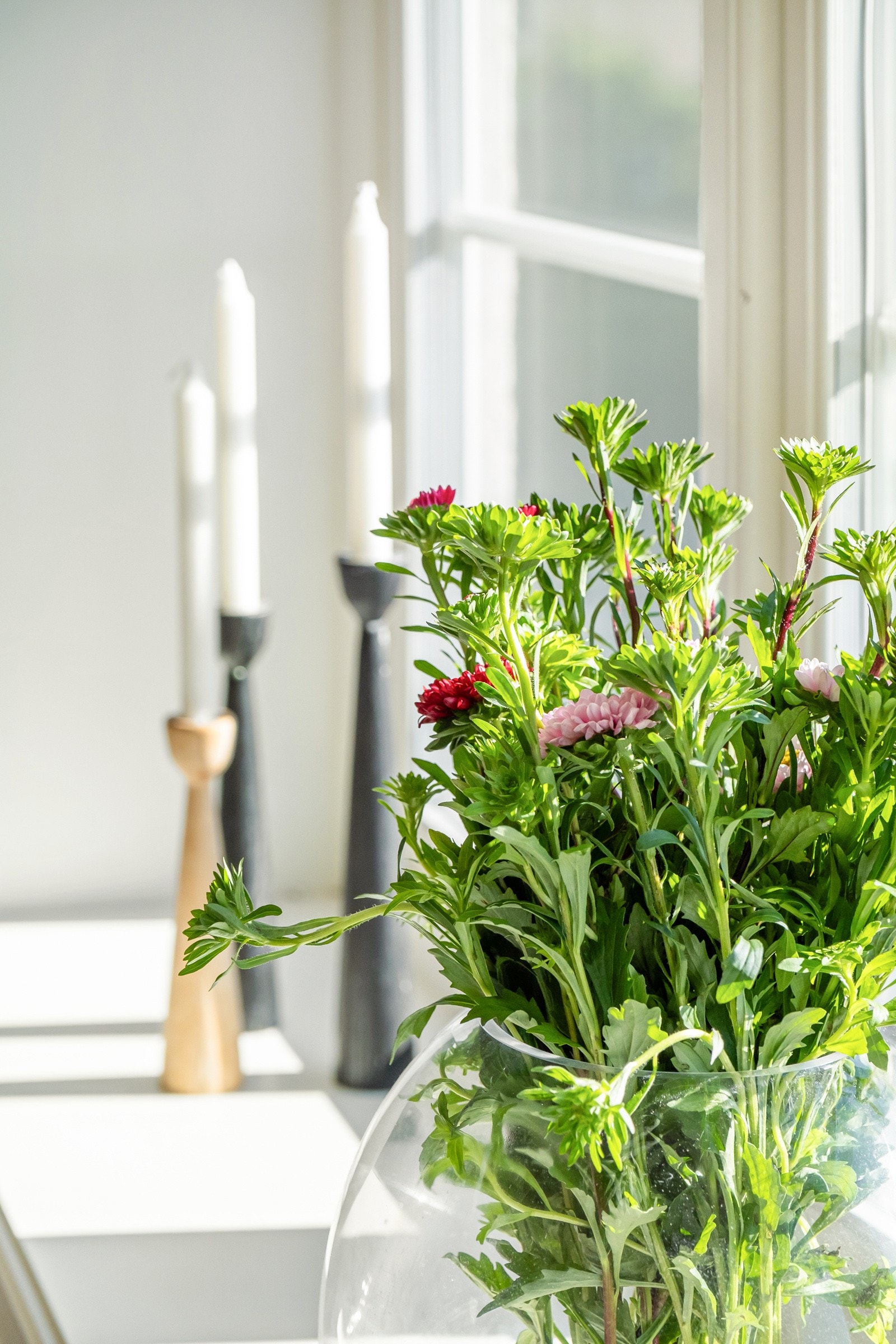 Sees vi? Galleribilde