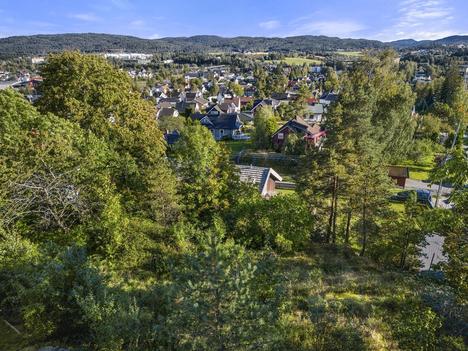 Utsikt fra tomten. Galleribilde