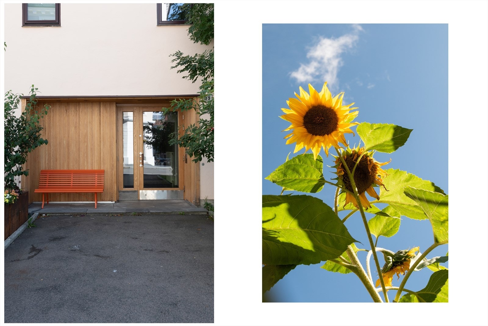 Flott inngangsparti! Galleribilde
