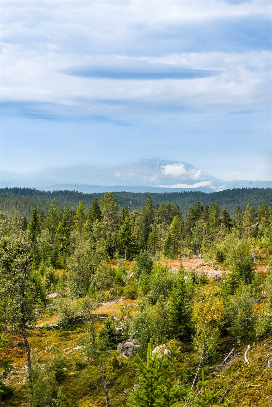 Det er for øvrig kort vei til høyfjellet, med Numedalshovda, Lufsjå m.m. Vinterstid finnes det et godt opparbeidet nett av skiløyper både nede i dalen og i fjellet. Galleribilde