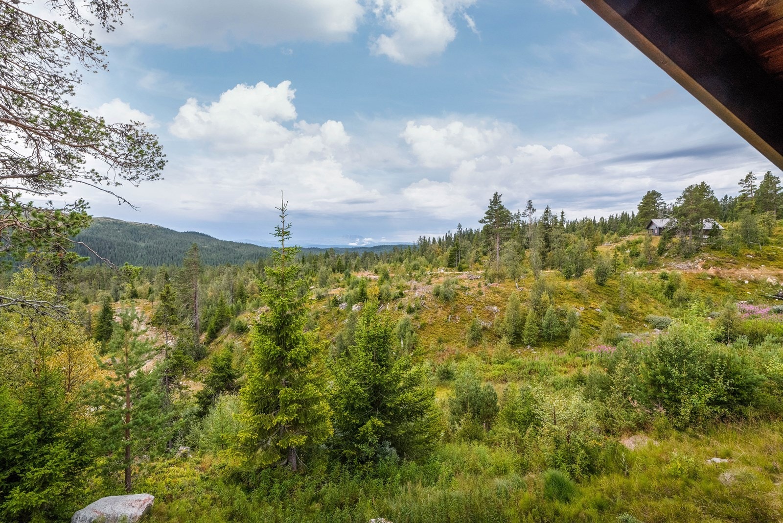 Området er et glimrende utgangspunkt for den som søker friluftsliv og naturopplevelser, med nærhet til en rekke flotte turområder, skiløyper, fiskevann og jaktområder. Galleribilde