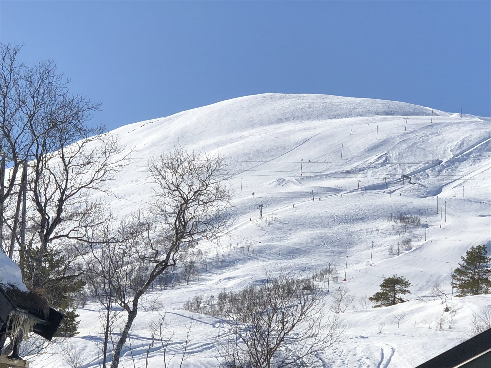 Vinterbilde | Utsikt fra hytta mot Sunnmørsalpane skiarena Galleribilde