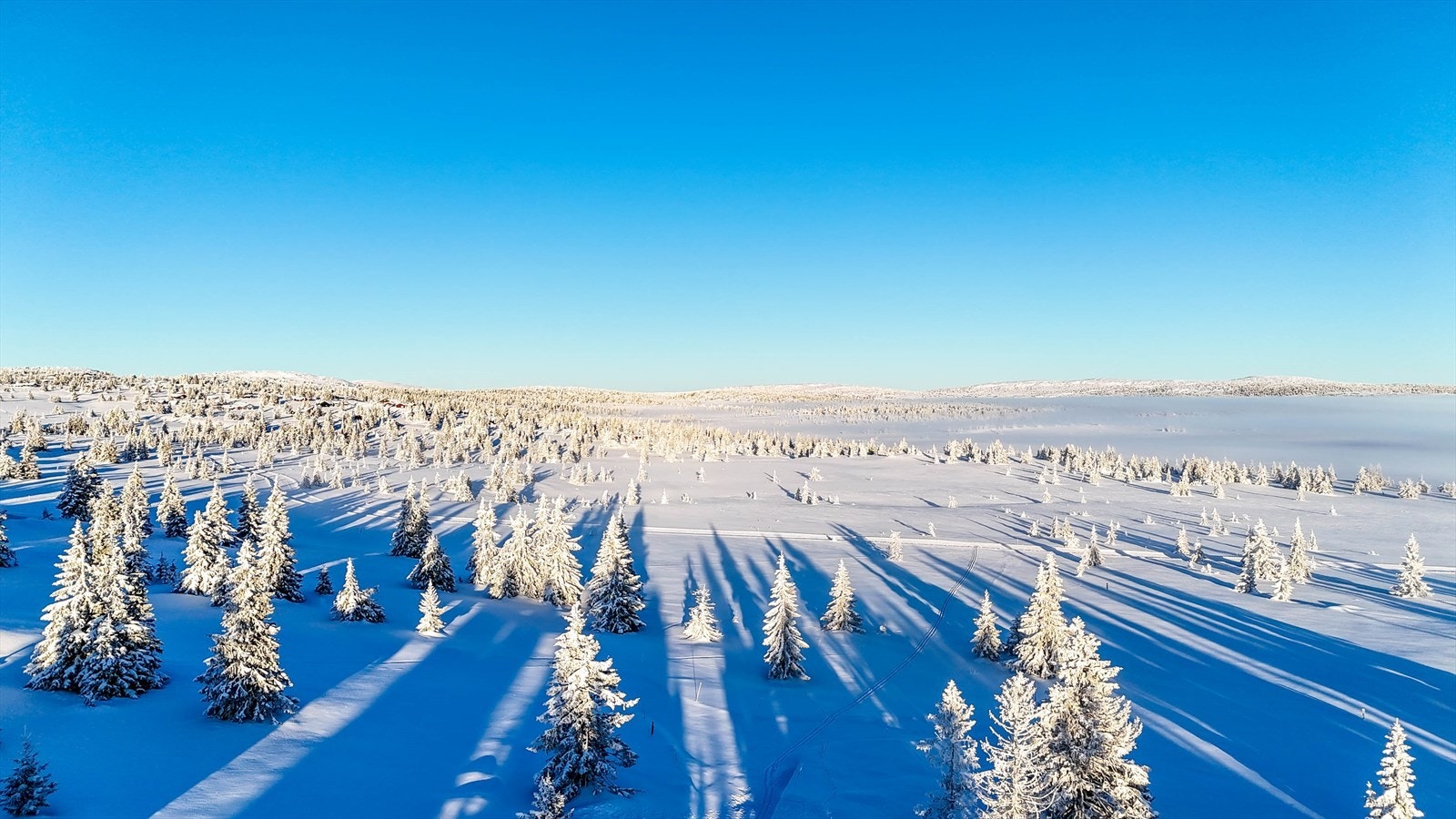 I dette området kan du spenne på spenne på deg skia og legge ut i topp preparerte skiløyper, hele vinteren. Varierte muligheter, tilpasset hele familien. Galleribilde