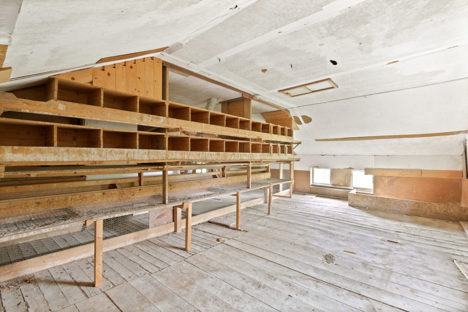 Hønsehus, 2.etg Galleribilde