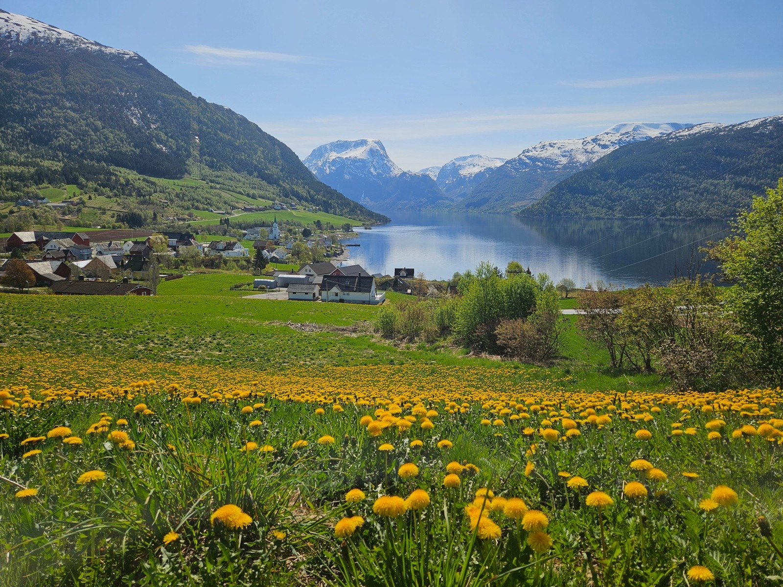 Nærområdet Galleribilde