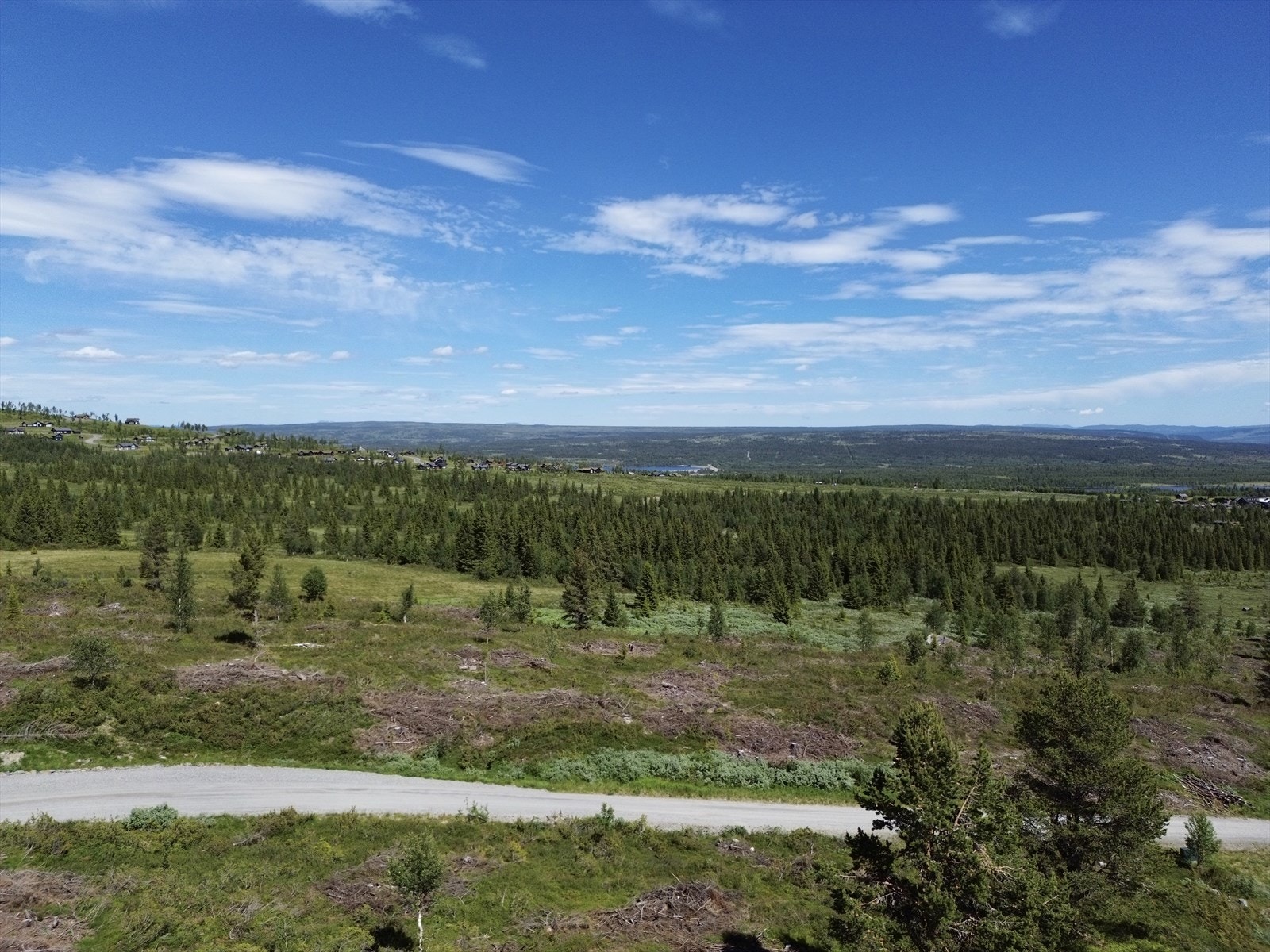 Utsikt mot nord fra tomten i nr. 26 og 34. Galleribilde
