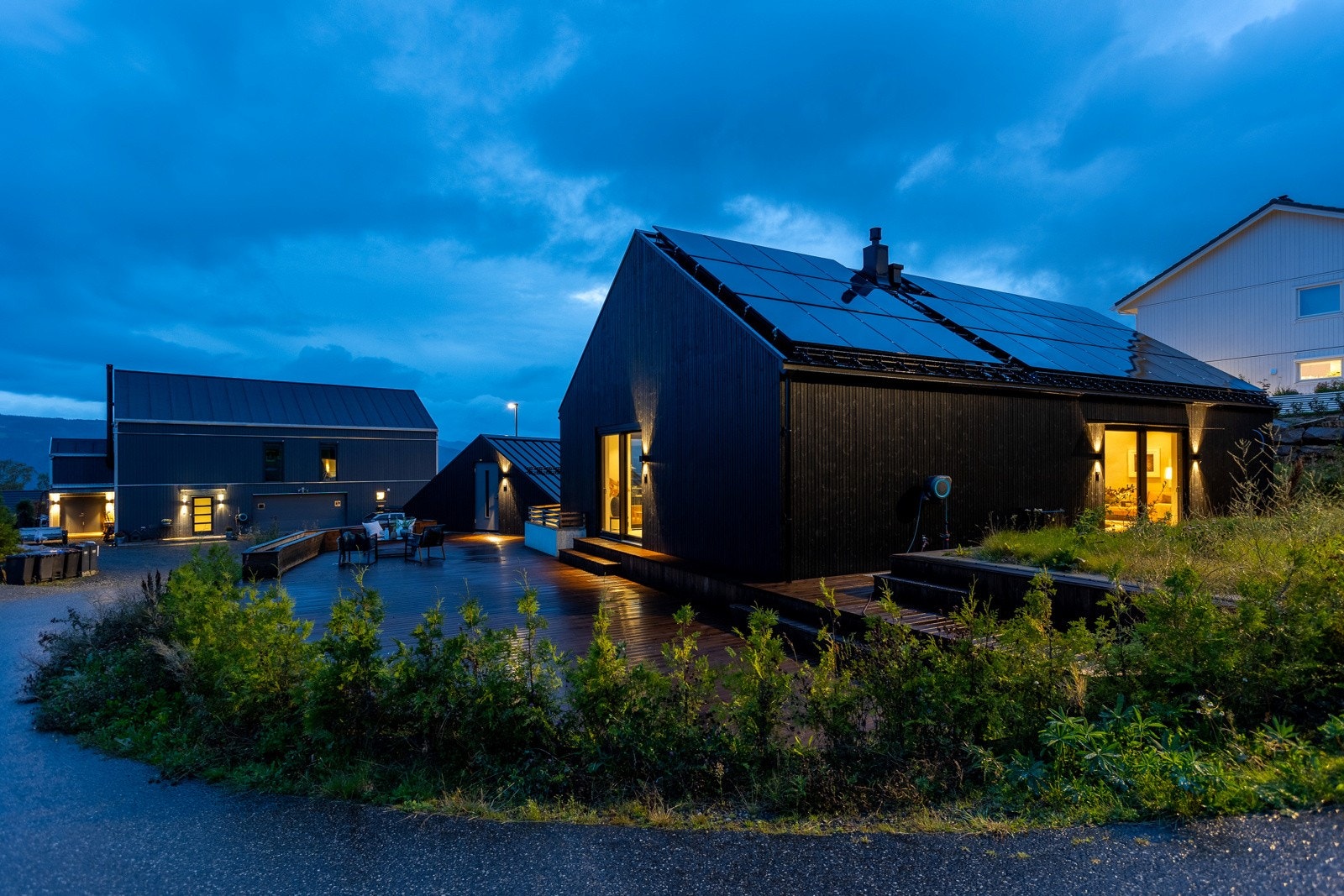 Etablert beplantning ut mot vegen Galleribilde