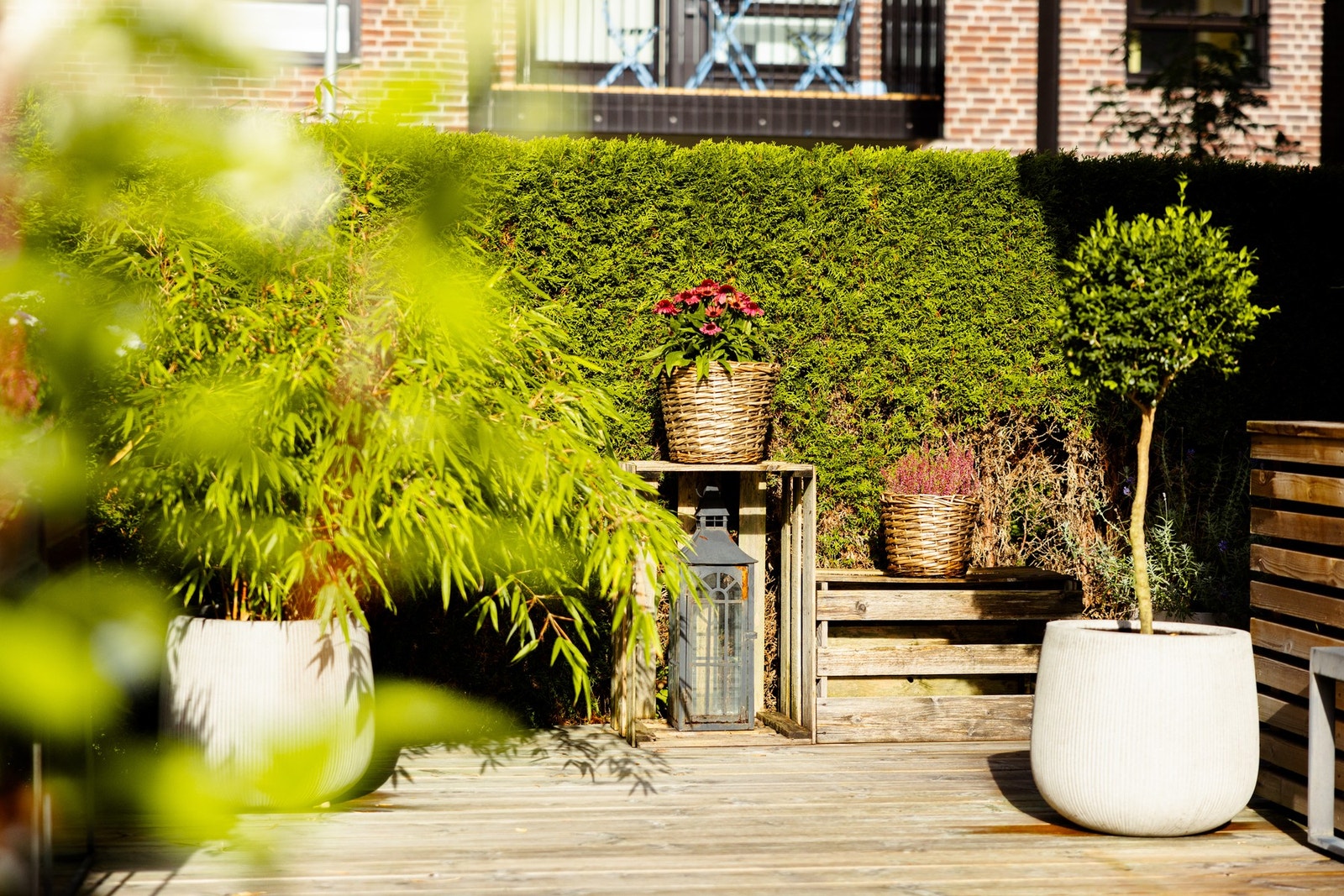 Det er tillatt med gass og elektrisk grill, og gir med det perfekte forhold for å kunne både spise og lage middagene utendørs. Galleribilde