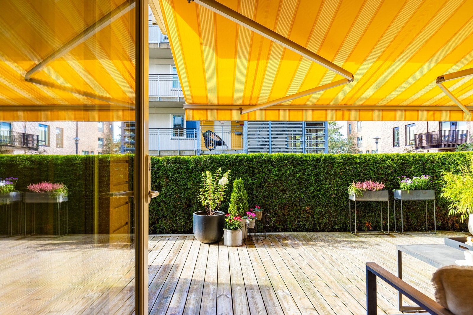 Her vil dere trives! Galleribilde