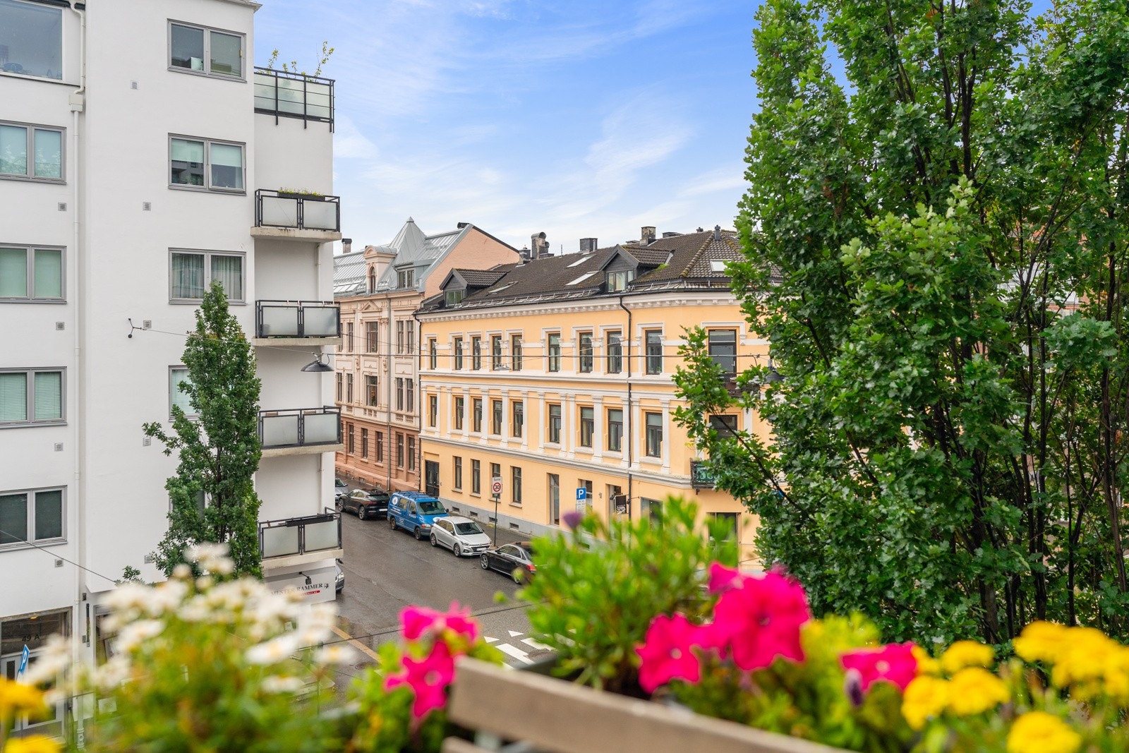 Hyggelig utsikt. Galleribilde