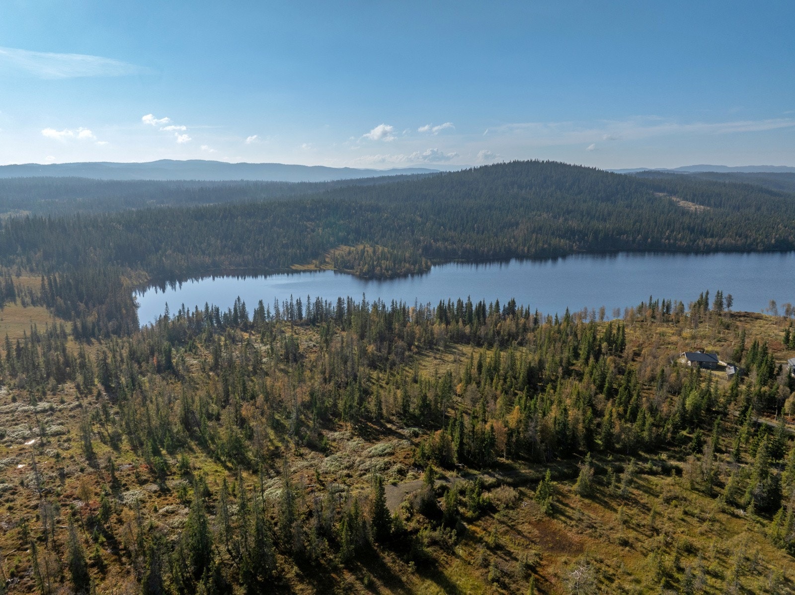 DJI_0021 Galleribilde