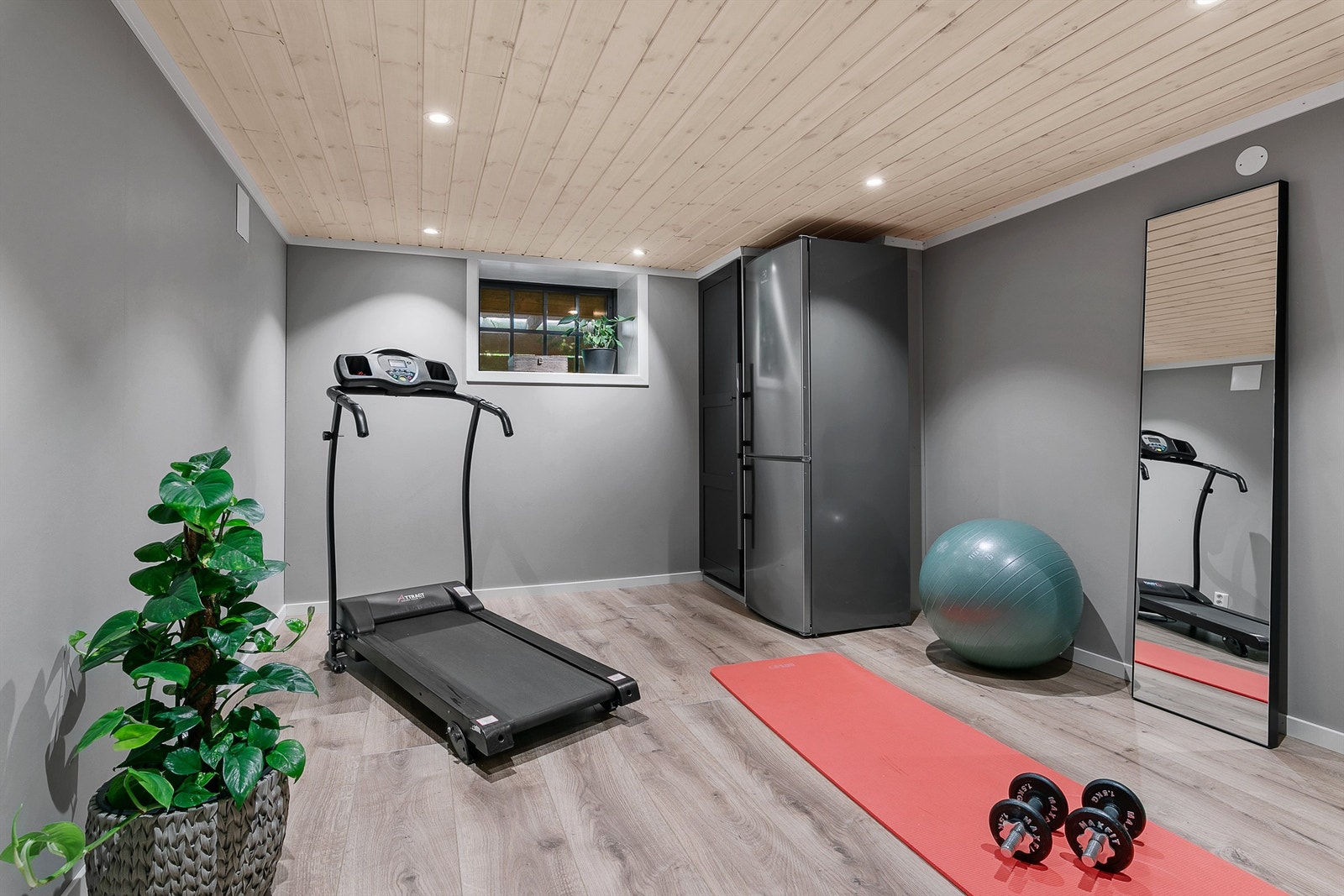 Treningsrommet i kjelleren Galleribilde