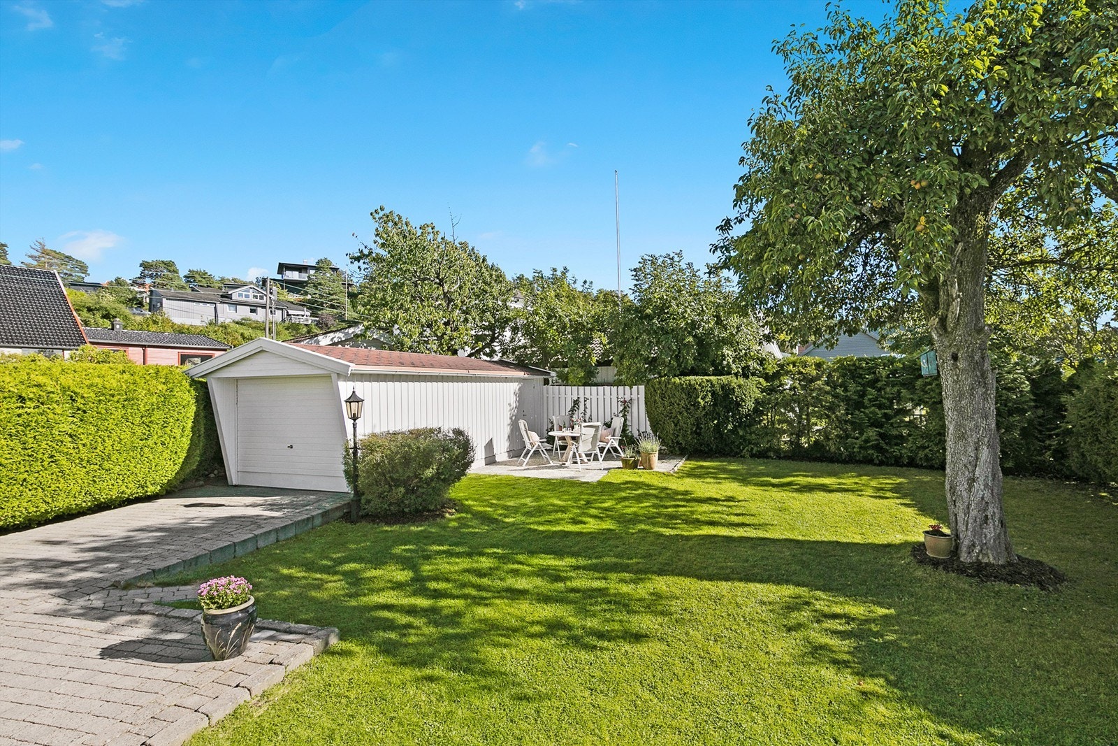 Usjenert og gresslagt hage Galleribilde