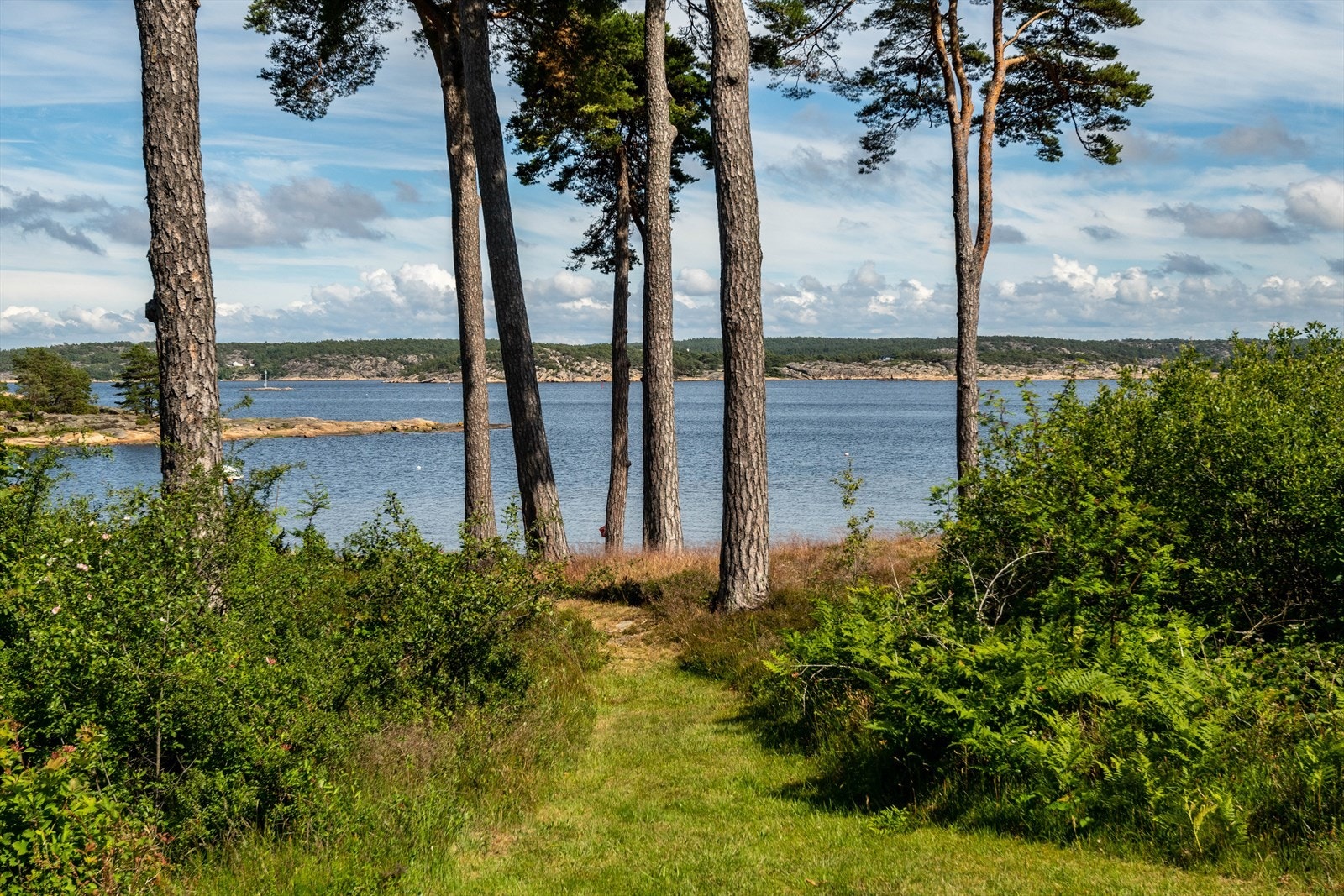 Området rundt byr på flotte turområder og skjærgården frister til oppdagelsesferder med egen båt, med skjulte strender og fredfulle holmer. Galleribilde