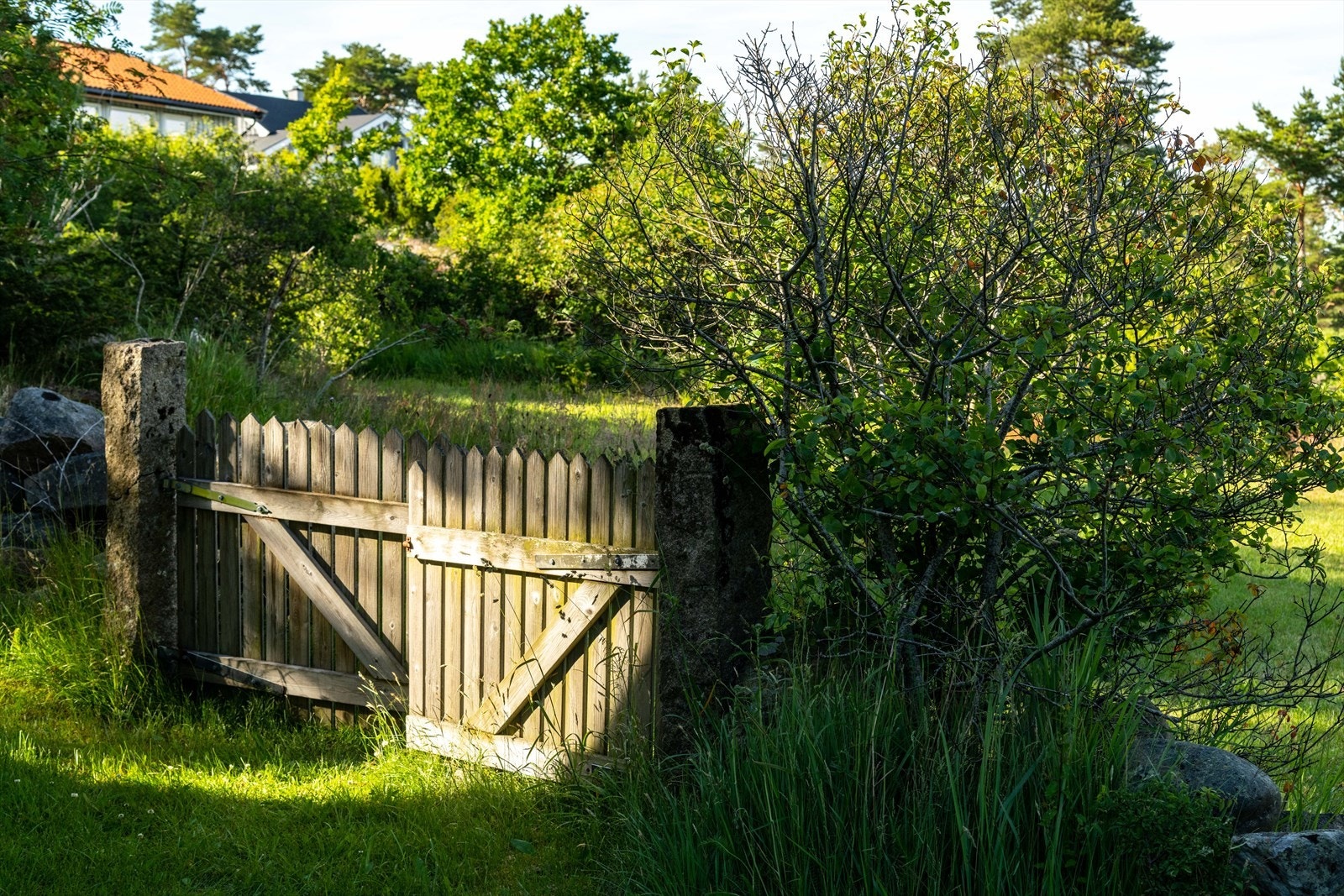 Like utenfor hagegrinden starter kyststien som tar deg rundt hele Asmaløy. Galleribilde