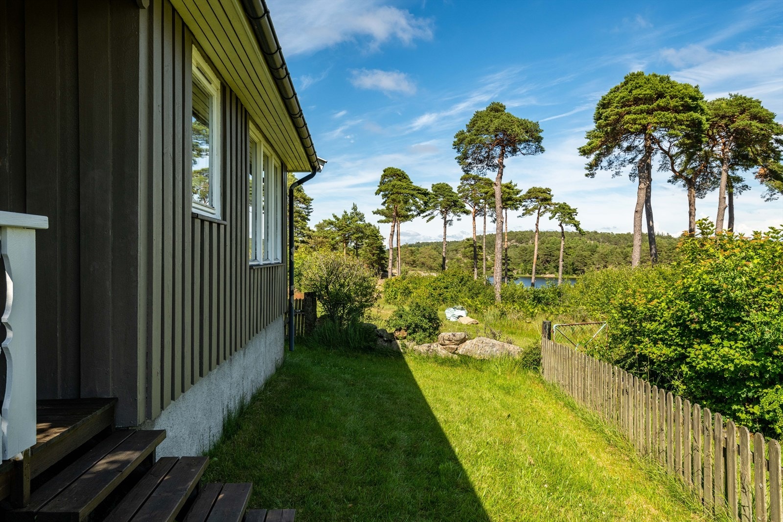 Furutrærne som ligger utenfor tomten minner om palmer og gir ved sin beskjæring sjøutsikt. Galleribilde