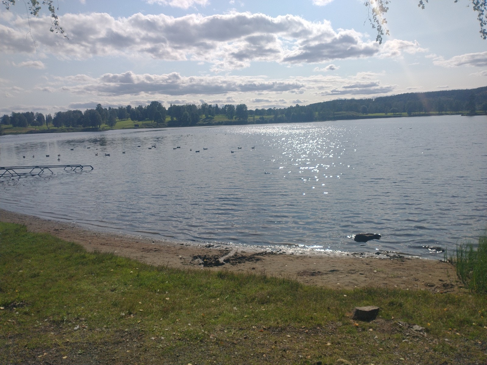 Bogstad badeplass har en lang sandstrand, gresslette og badebrygge. Fra leiligheten går det fine turveier hertil. Galleribilde