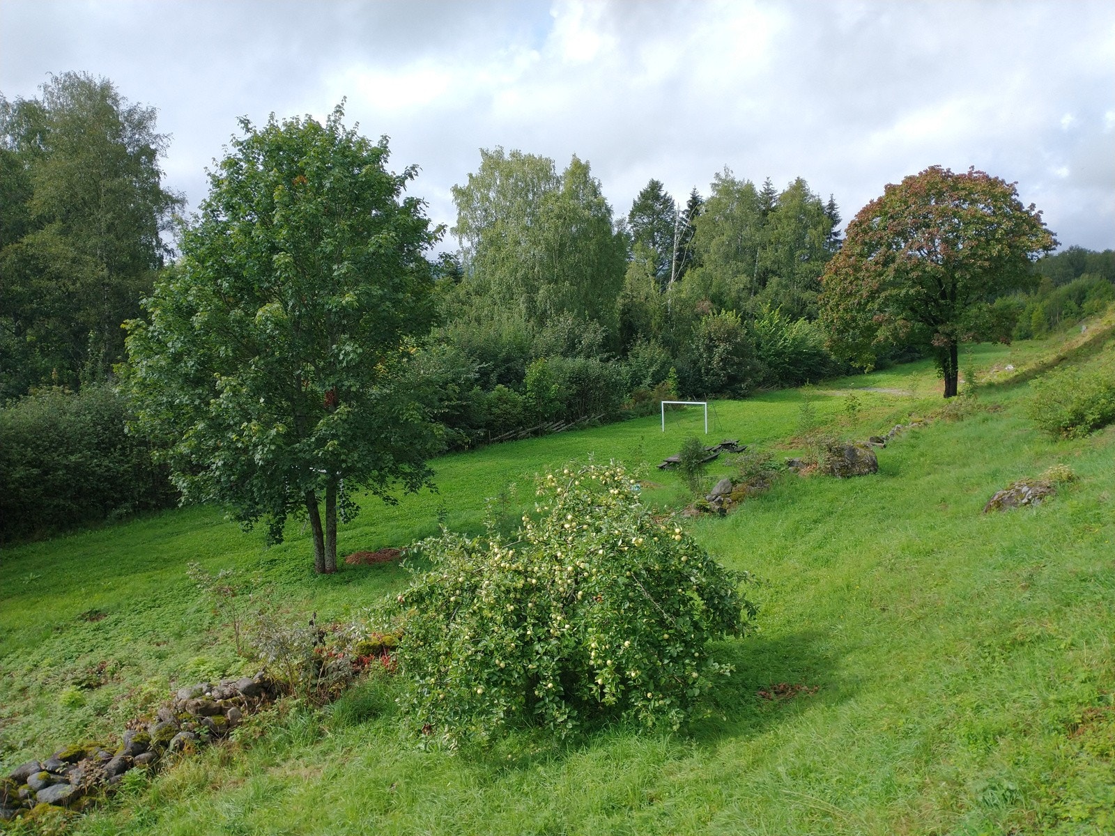 Borettslaget har hyggelige fellesområder med sittebenker, sandkasse, sklie, husker, fotballbane og pære- og epletrær. Galleribilde
