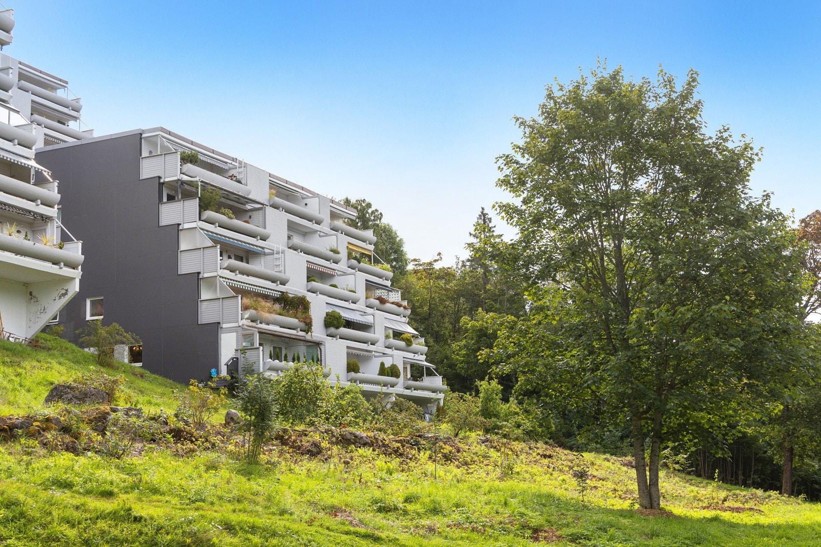 Nedenfor borettslaget går det en hyggelig tursti som tar deg til Bogstadvannet og videre inn i Sørkedalen m.m. Galleribilde