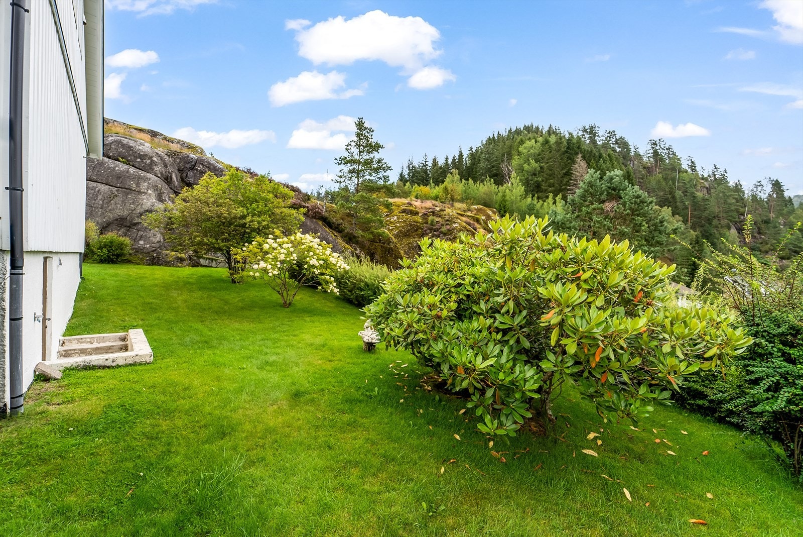 Del av tomten mot øst. Inngang kjeller m/vaskerom t.v. Galleribilde