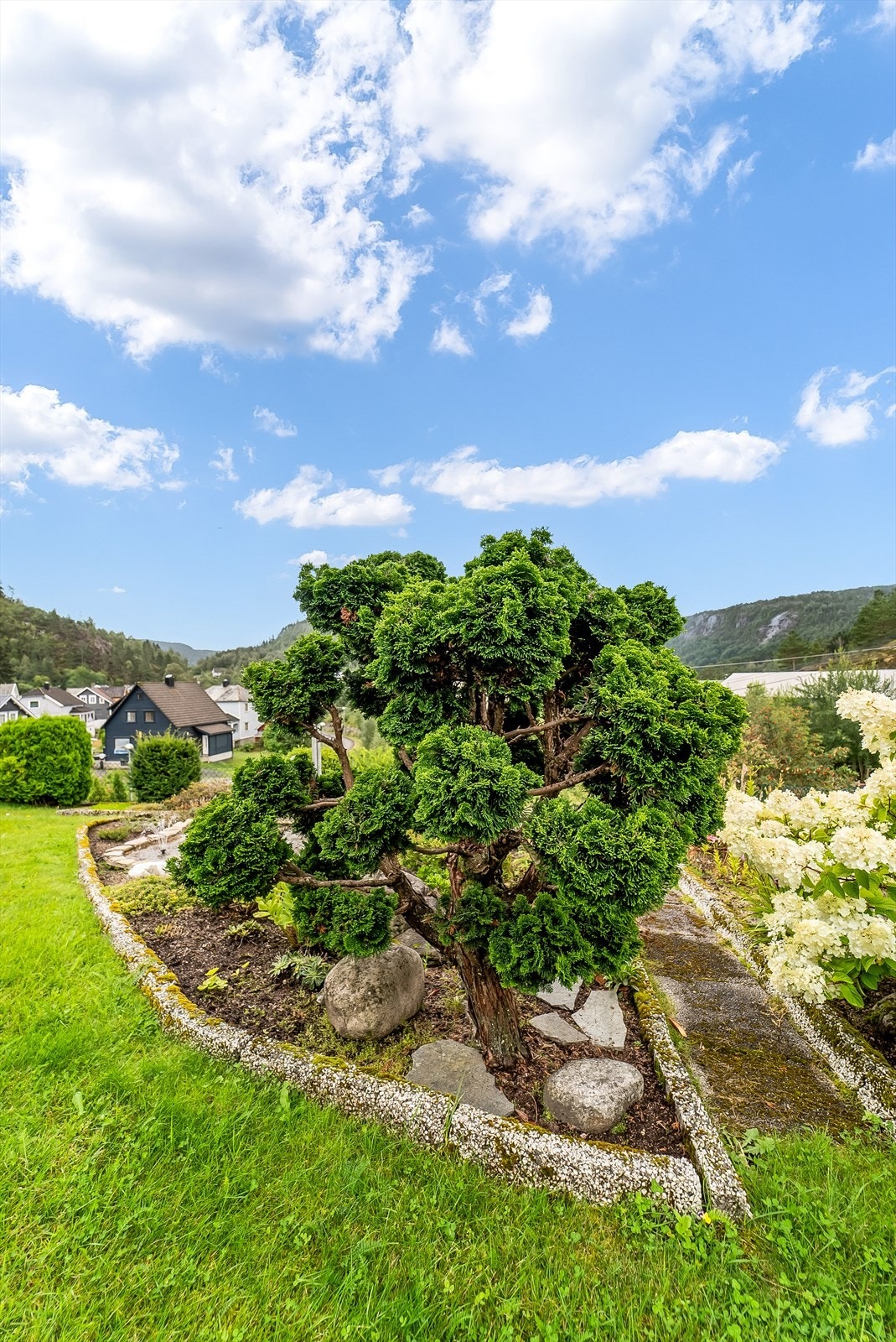 Beplantning i hagen Galleribilde