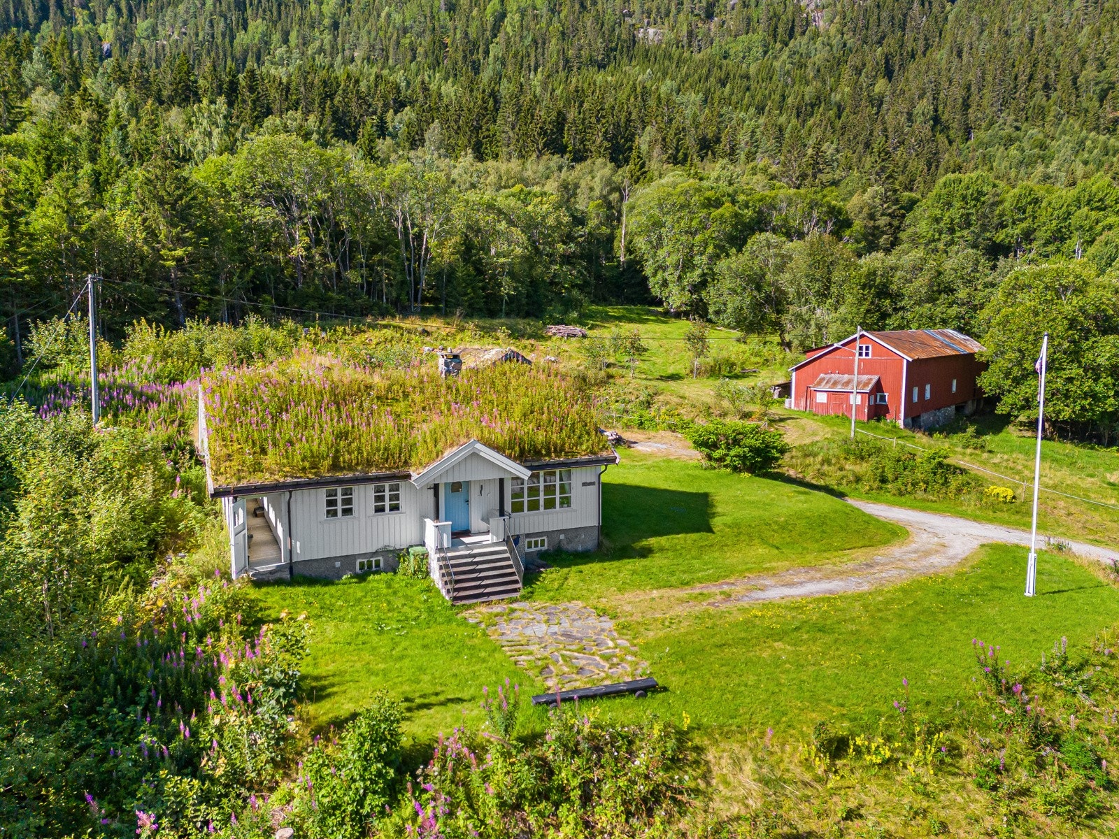 Flott tun rundt våningshuset Galleribilde
