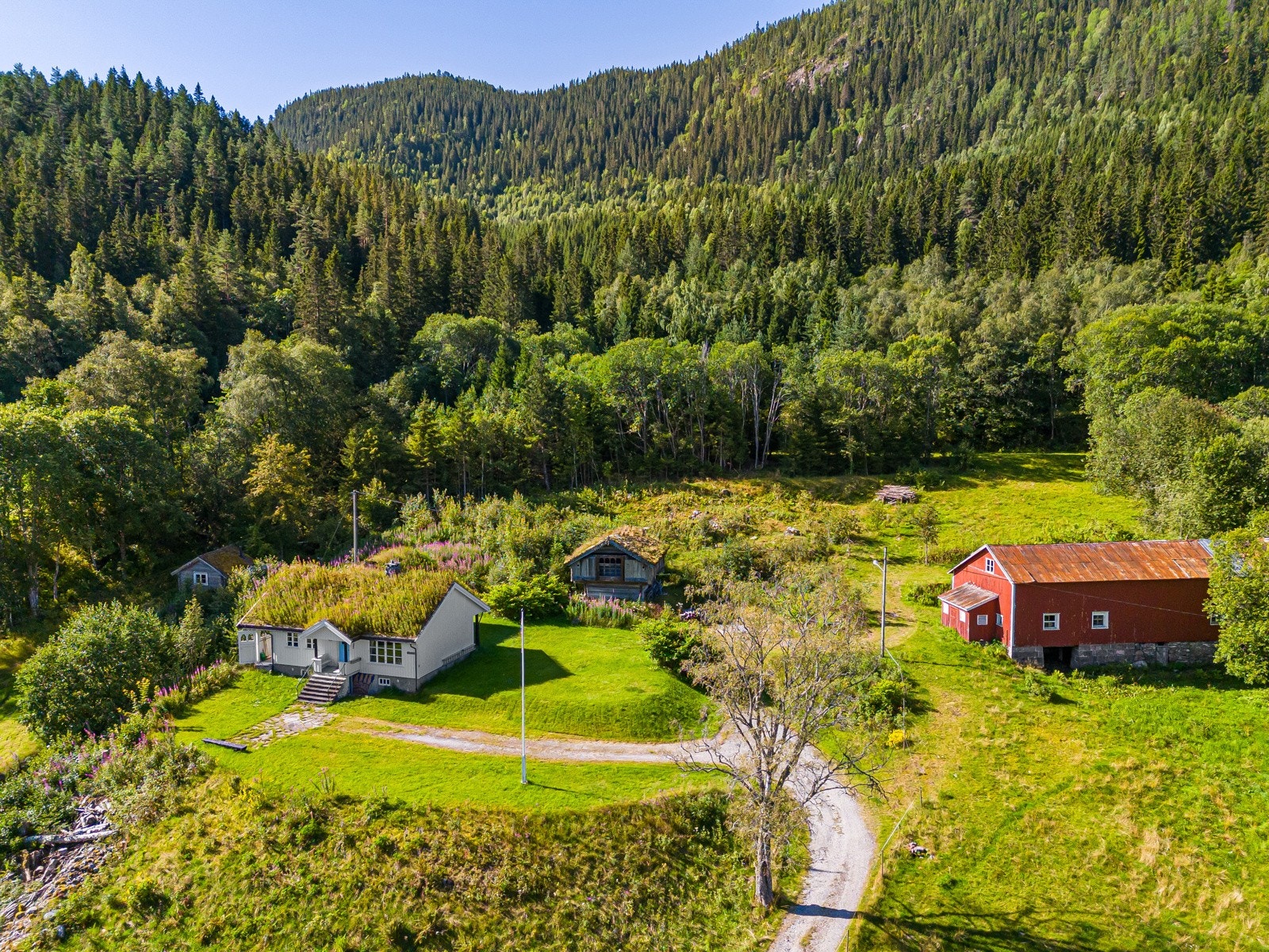 Fine omgivelser Galleribilde