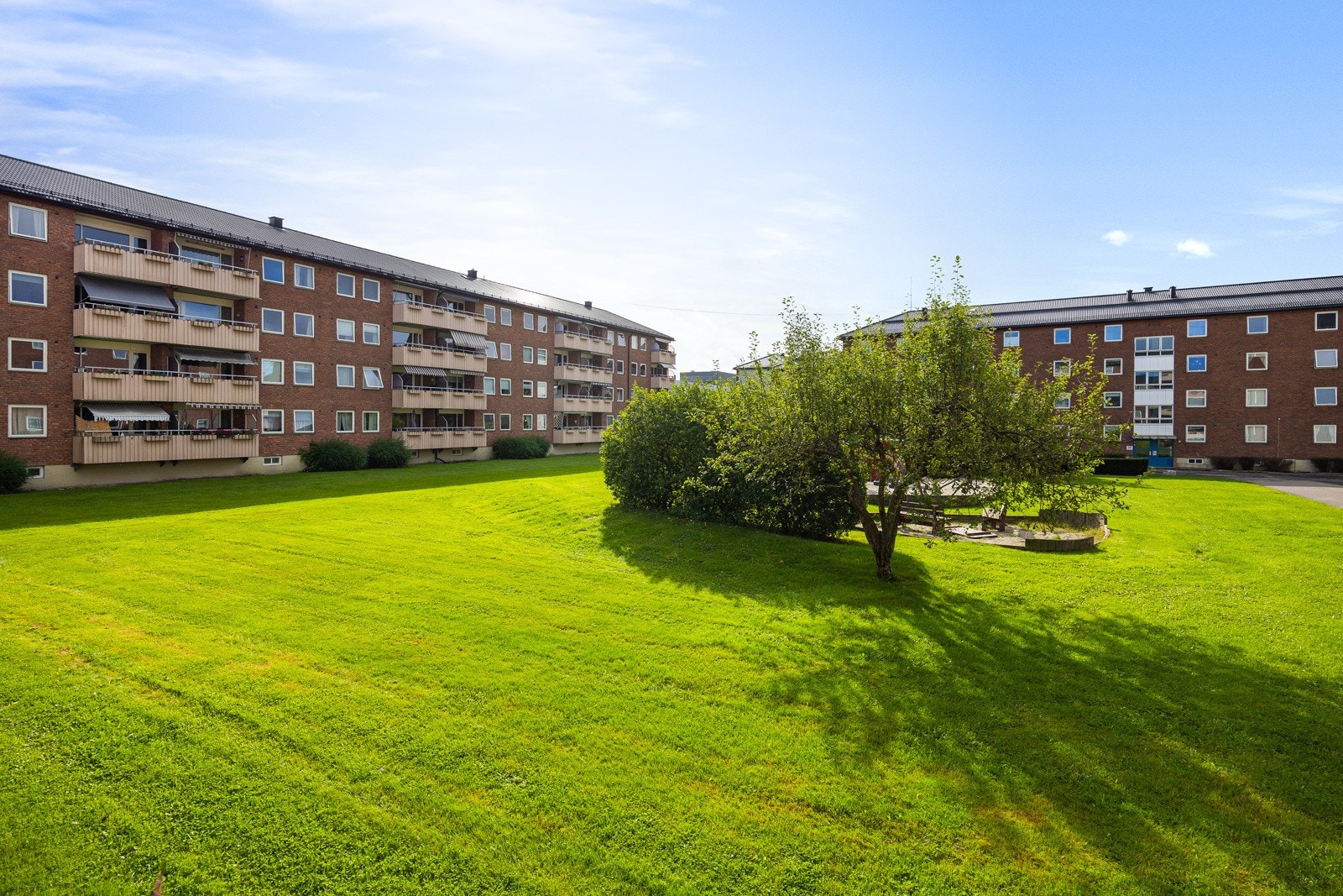 Hyggelig utsyn over rolig, grønt fellesområde. Galleribilde