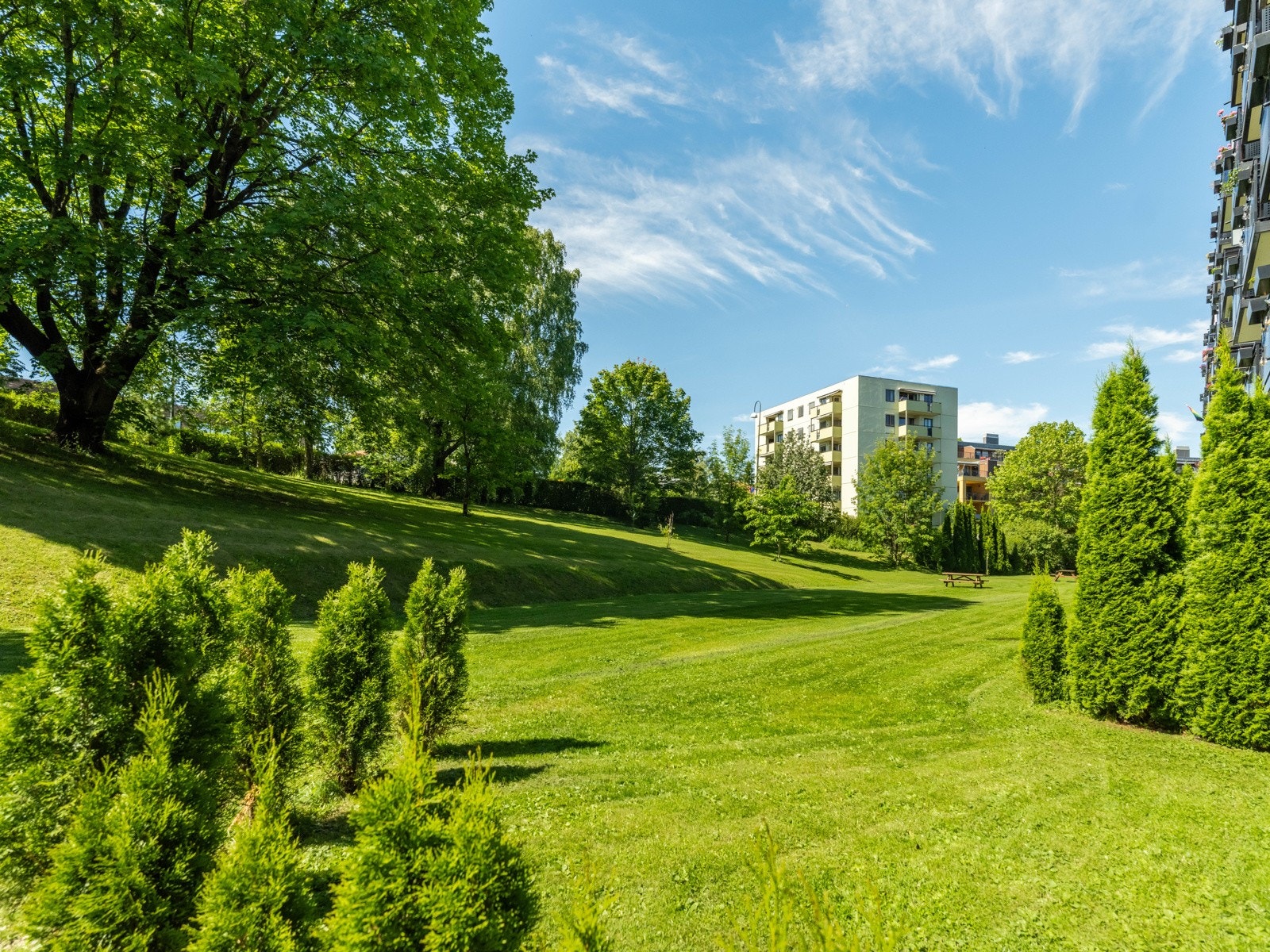 Det fremstår som ryddig, med et veldrevet styre, utfyllende vedlikeholdshistorikk og god økonomi. Galleribilde