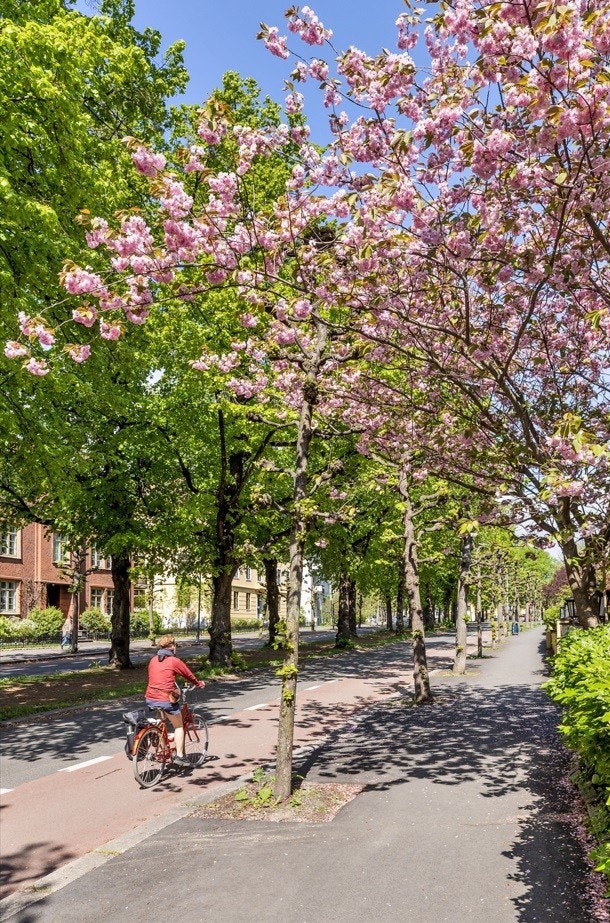 Beliggenheten er svært attraktiv med kort gangavstand til hovedstadens mest populære handlegater, kafeer, barer og restauranter. Nærhet til Frognerparken med skulpturanlegget Vigelandsparken, Oslo Bymuseum, Frognerbadet og Frogner stadion! Galleribilde