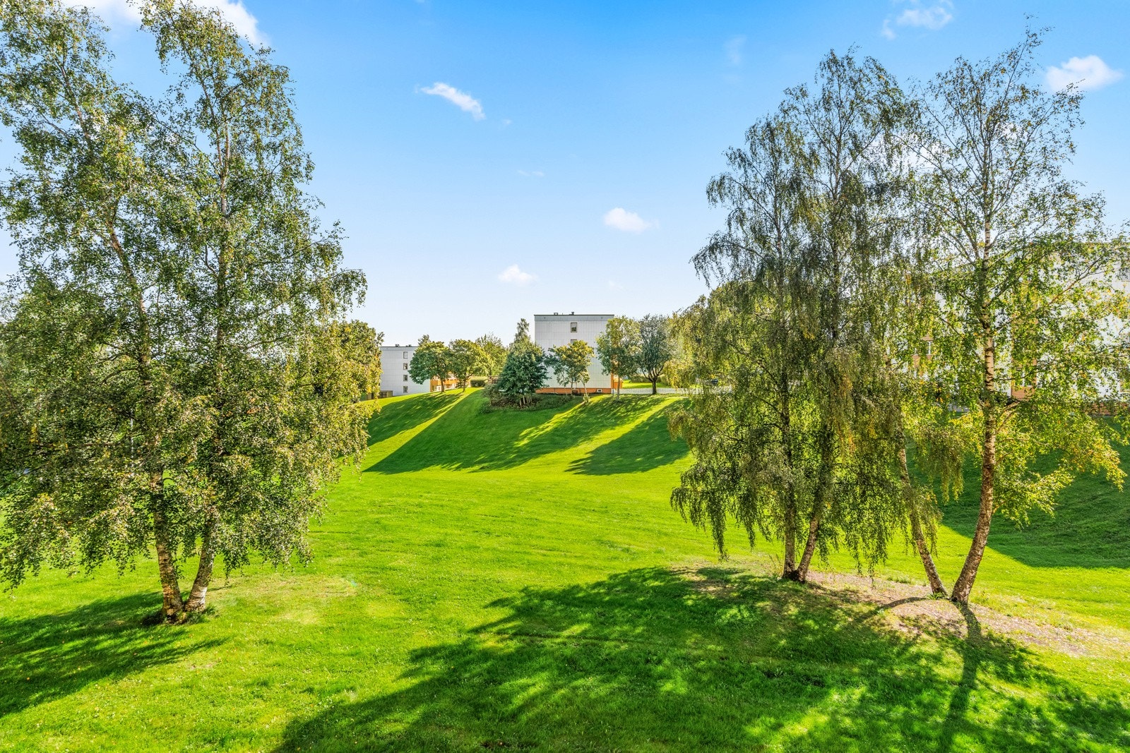 Her bor du omringet av grønne lunger i et idyllisk og barnevennlig nabolag. Galleribilde