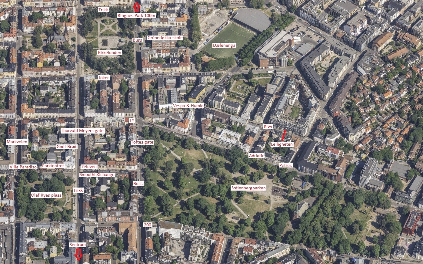 Oversikt over nærområdet. Galleribilde