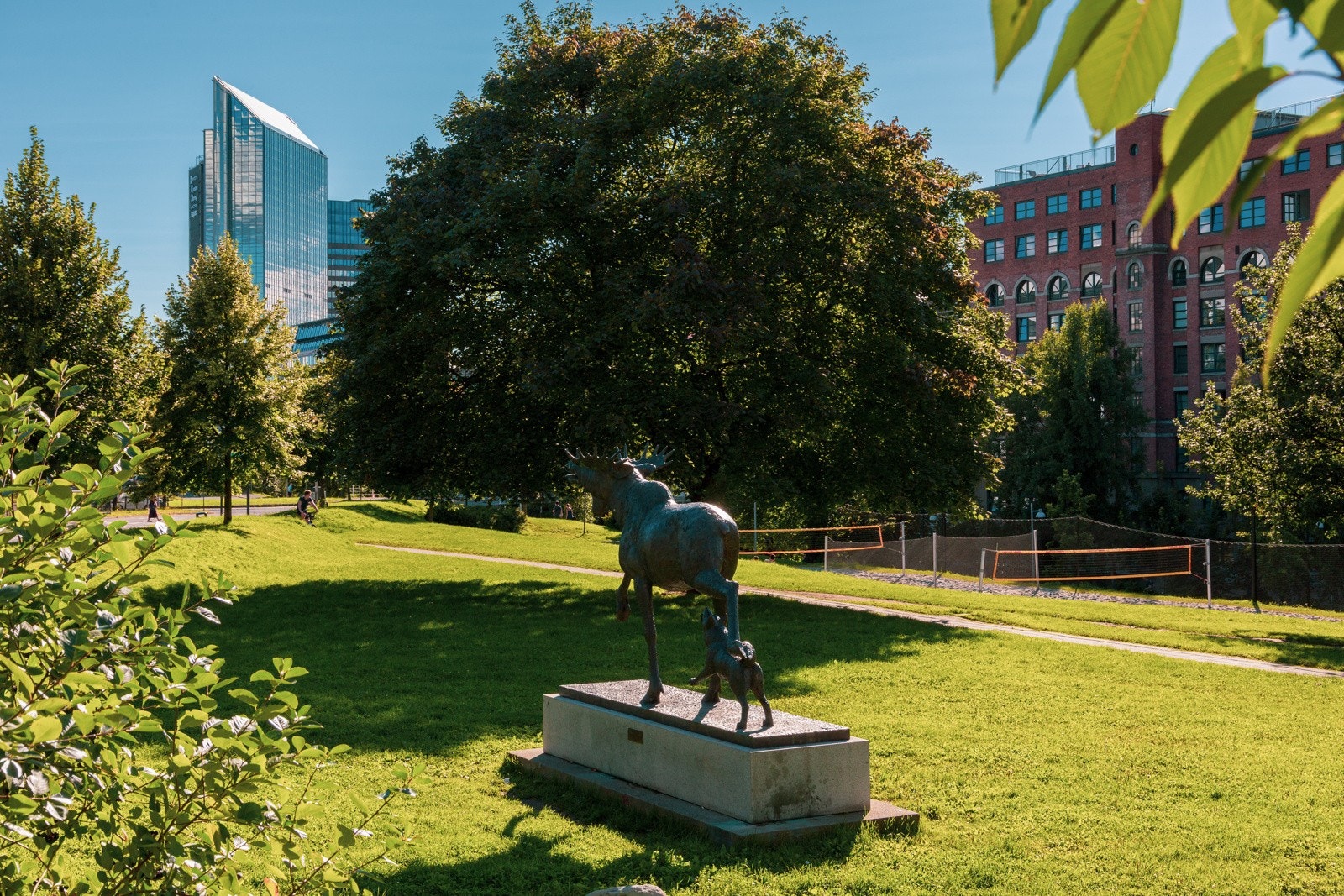 Nærområde - Elgparken. Galleribilde