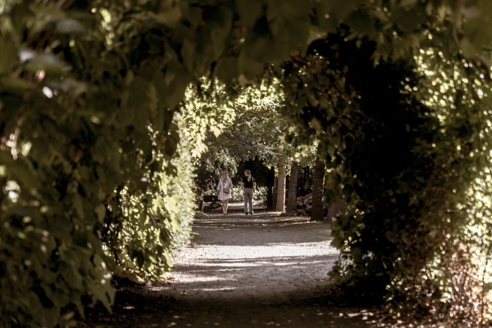 Nærområde - Botanisk hage. Galleribilde
