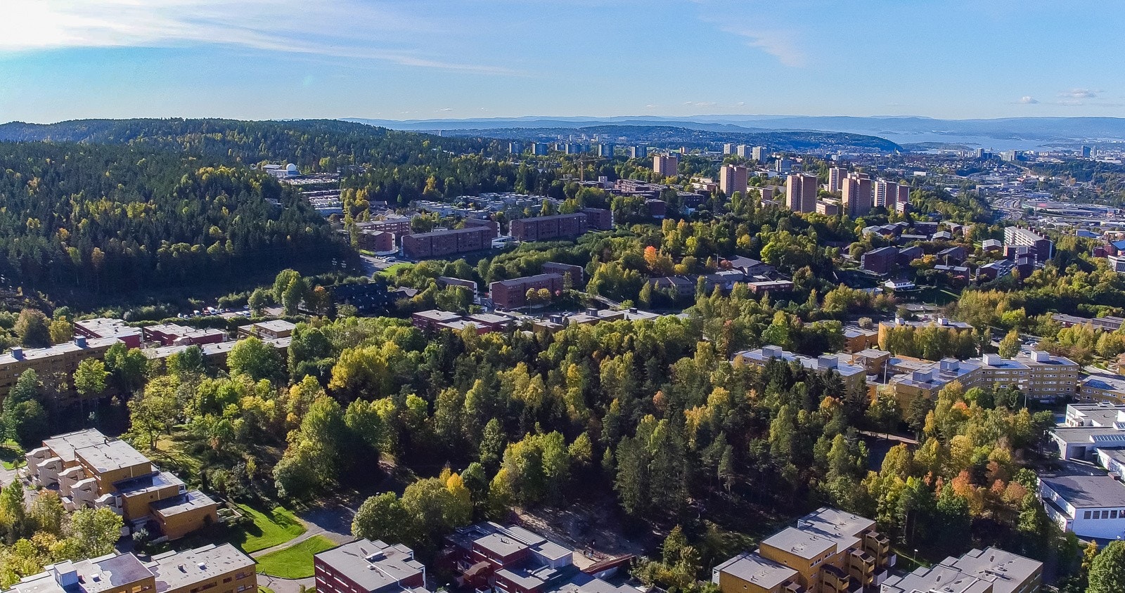 Oversikt over Lindeberg Galleribilde