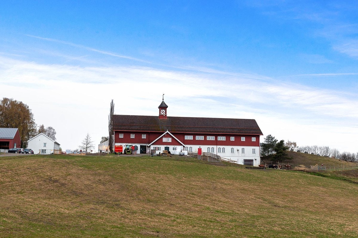 Lindeberg gård er populær blant de minste Galleribilde