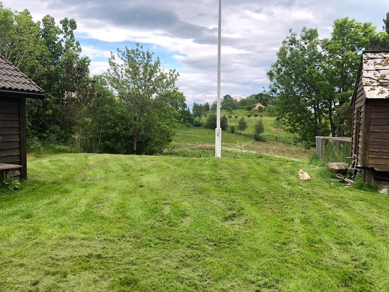 Fint uteområde Galleribilde