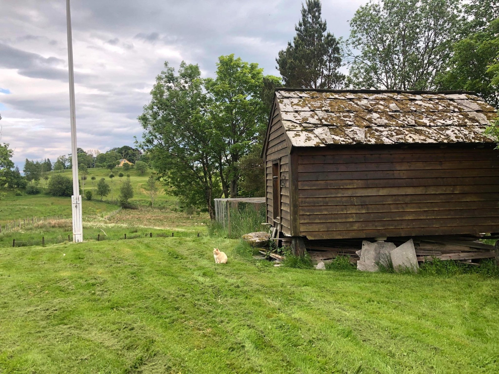 Uteområde Galleribilde