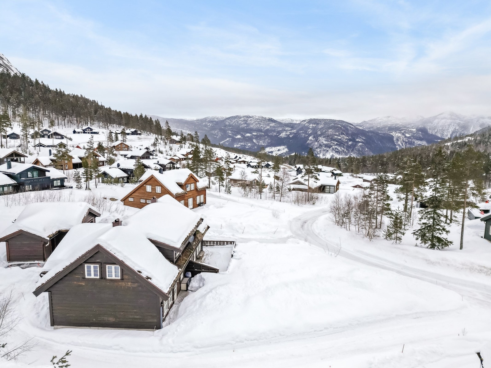 Utsikten mot Setesdalen. Galleribilde
