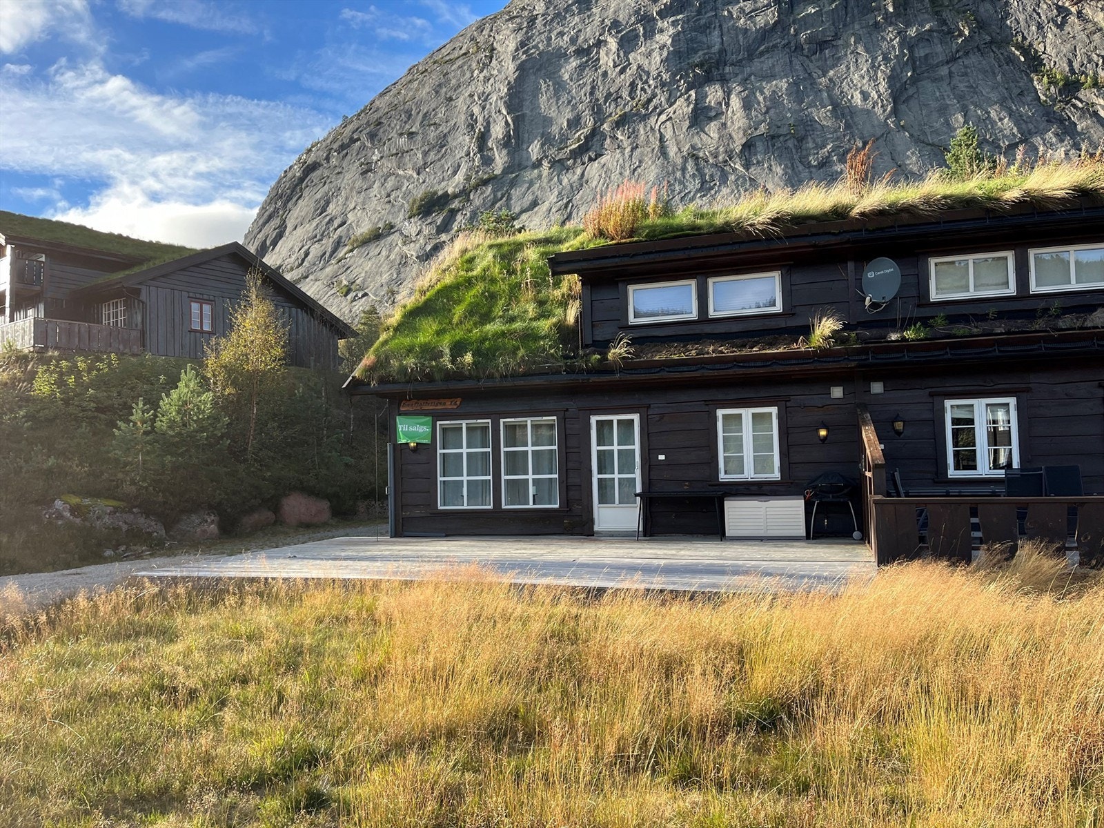 God plass foran hytten. Galleribilde