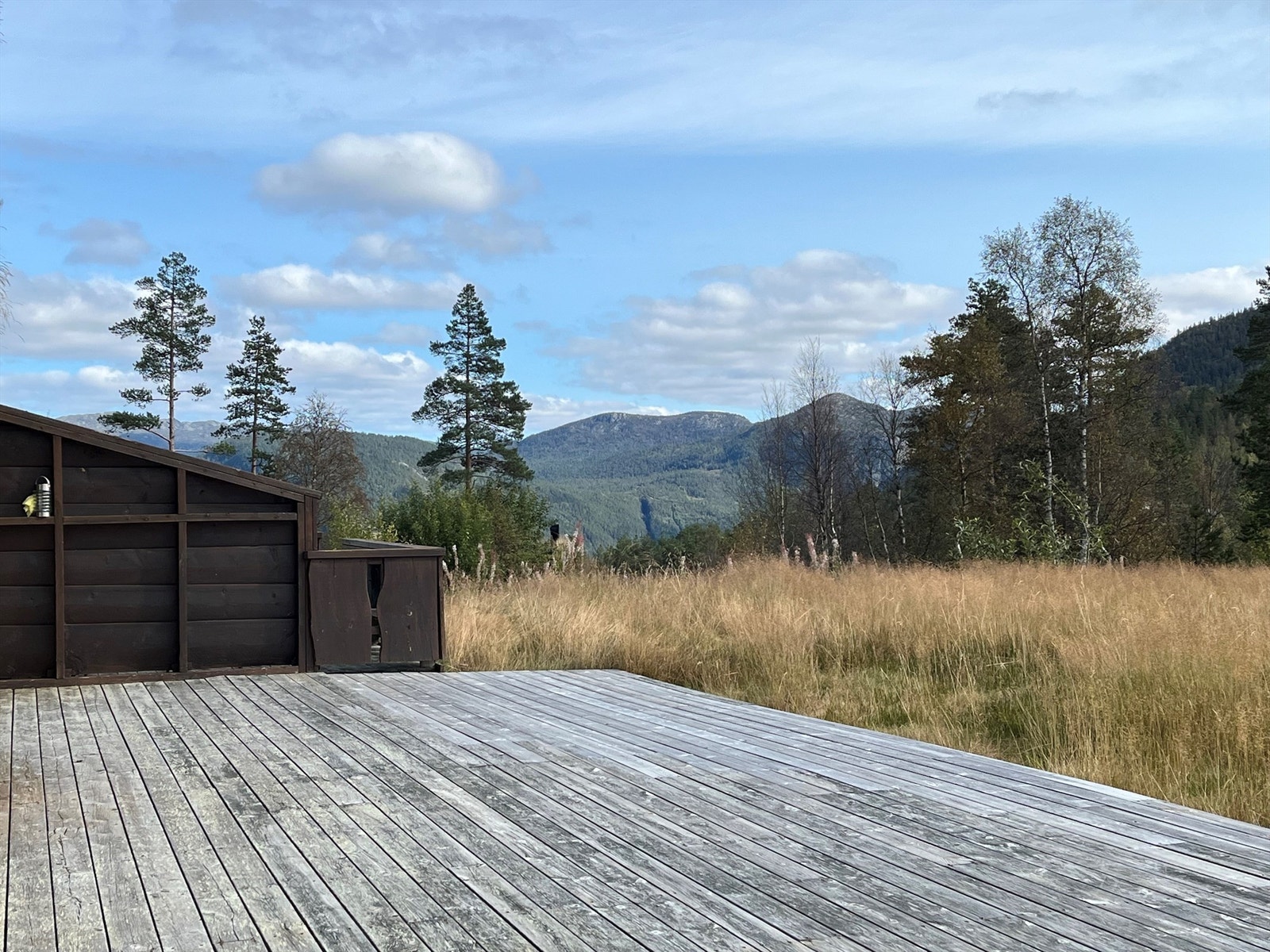 Gressplen foran hytten. Galleribilde