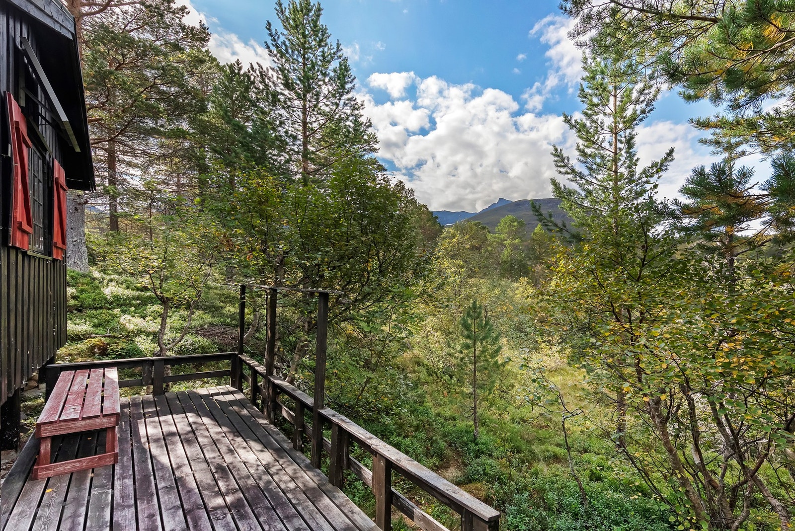 Utsikt fra terrasse Galleribilde