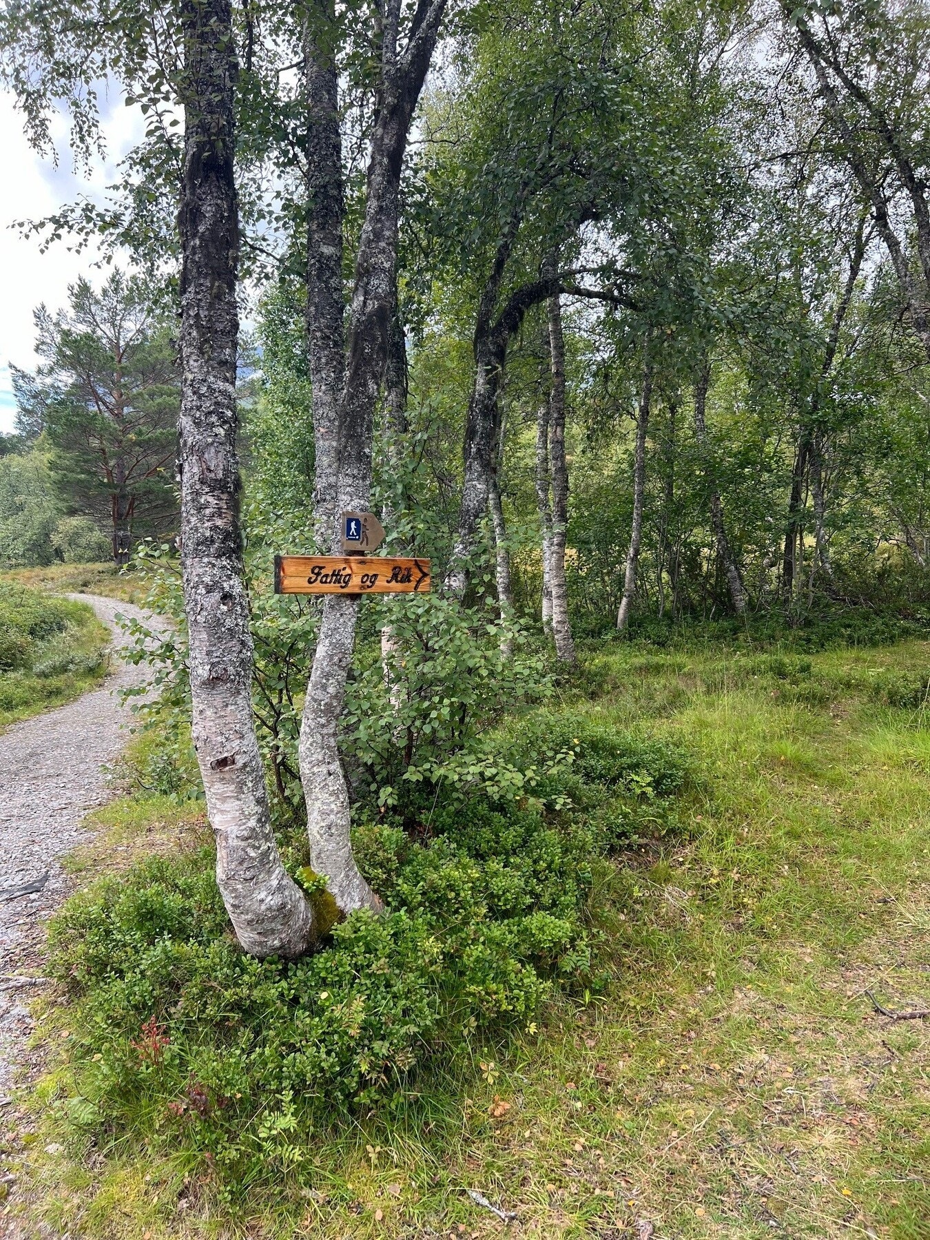 Fra parkeringsplass er det ca. 300 gange langs sti frem i eiendommen. Galleribilde