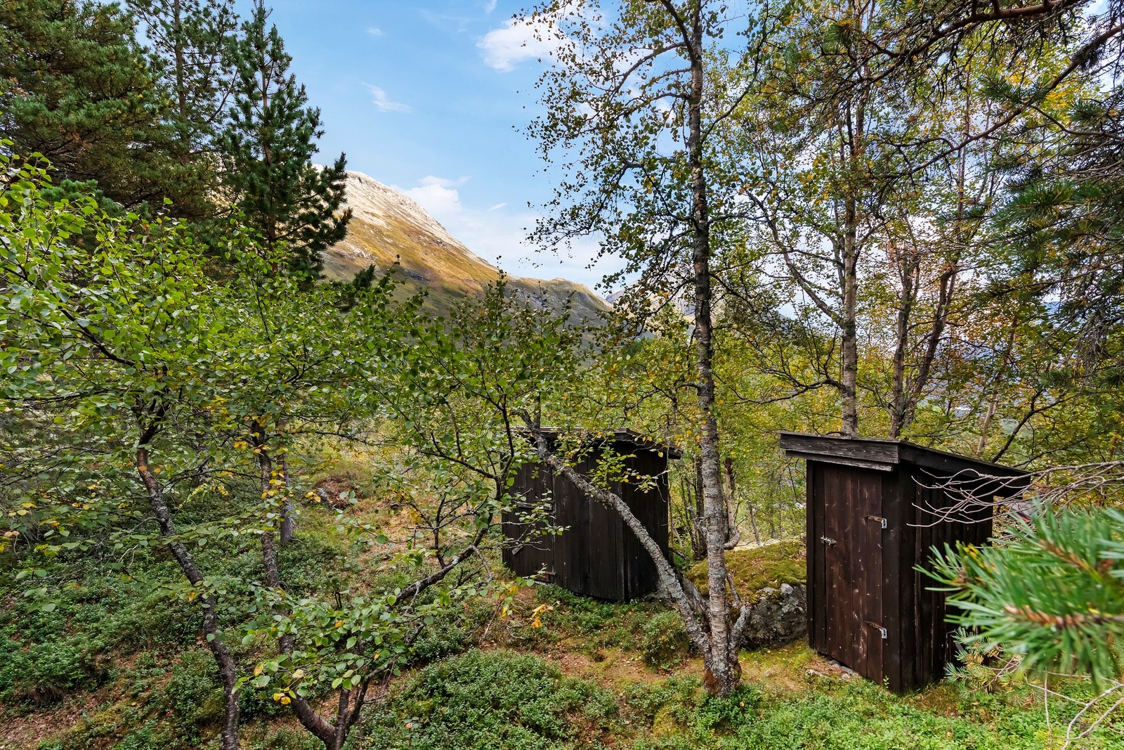 Hytten har vedbod og utedo Galleribilde